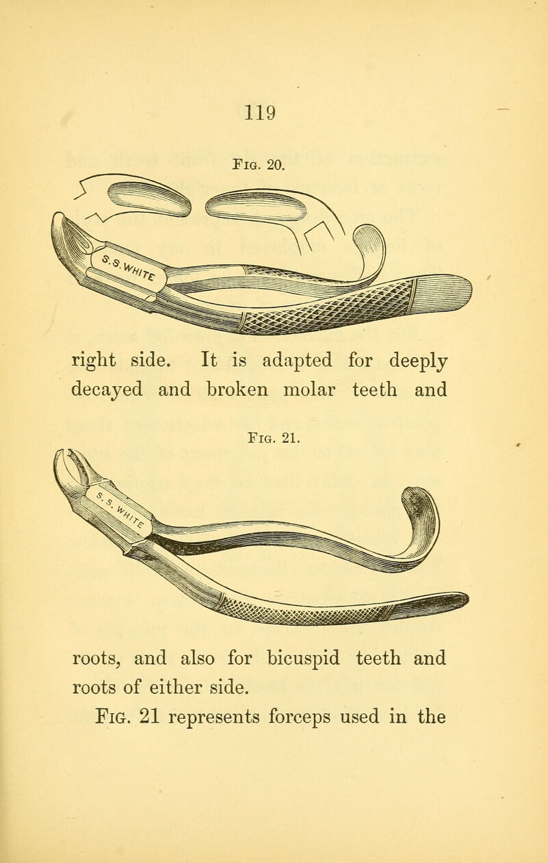 right side. It is adapted for deeply decayed and broken molar teeth and Fig. 21. roots, and also for bicuspid teeth and roots of either side. Fig. 21 represents forceps used in the
