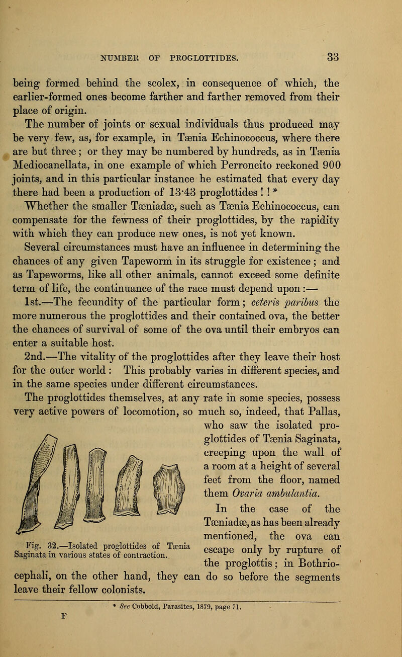 being formed behind the scolex, in consequence of which, the earlier-formed ones become farther and farther removed from their place of origin. The number of joints or sexual individuals thus produced may be very few, as, for example, in Taenia Echinococcus, where there are but three; or they may be numbered by hundreds, as in Taenia Mediocanellata, in one example of which Perroncito reckoned 900 joints, and in this particular instance he estimated that every day there had been a production of 13*43 proglottides ! ! * Whether the smaller Taeniadae, such as Taenia Echinococcus, can compensate for the fewness of their proglottides, by the rapidity with which they can produce new ones, is not yet known. Several circumstances must have an influence in determining the chances of any given Tapeworm in its struggle for existence ; and as Tapeworms, like all other animals, cannot exceed some definite term of life, the continuance of the race must depend upon:— 1st.—The fecundity of the particular form; ceteris paribus the more numerous the proglottides and their contained ova, the better the chances of survival of some of the ova until their embryos can enter a suitable host. 2nd.—The vitality of the proglottides after they leave their host for the outer world : This probably varies in different species, and in the same species under different circumstances. The proglottides themselves, at any rate in some species, possess very active powers of locomotion, so much so, indeed, that Pallas, who saw the isolated pro- glottides of Taenia Saginata, creeping upon the wall of a room at a height of several feet from the floor, named them Ovaria ambulantia. In the case of the Tseniadae, as has been already mentioned, the ova can escape only by rupture of the proglottis; in Bothrio- cephali, on the other hand, they can do so before the segments leave their fellow colonists. Fig. 32.—Isolated proglottides of Taenia Saginata in various states of contraction. See Cobbold, Parasites, 1879, page 71.