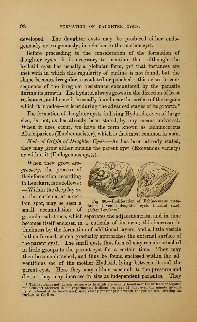 developed. The daughter cysts may be produced either endo- genously or exogenously, in relation to the mother cyst. Before proceeding to the consideration of the formation of daughter cysts, it is necessary to mention that, although the hydatid cyst has usually a globular form, yet that instances are met with in which this regularity of outline is not found, but the shape becomes irregular, sacculated or pouched ; this arises in con- sequence of the irregular resistance encountered by the parasite during its growth. The hydatid always grows in the direction of least resistance, and hence it is usually found near the surface of the organs which it invades—at least during the advanced stages of its growth.* The formation of daughter cysts in living Hydatids, even of large size, is not, as has already been stated, by any means universal. When it does occur, we have the form known as Echinococcus Altricipariens (Kuchenmeister), which is that most common in man. Mode of Origin of Daughter Cysts.—As has been already stated, they may grow either outside the parent cyst (Exogenous variety) or within it (Endogenous cysts). When they grow exo- genously, the process of their formation, according to Leuckart, is as follows : —Within the deep layers of the cuticula, at a cer- tain spot, may be seen a . FiS ^.-Proliferation of Echinococcus mem- F^' V _ brane—juvenile daughter cysts (natural size). Small accumulation of (After Leuckart.) granular substance, which separates the adjacent strata, and in time becomes itself enclosed in a cuticula of its own; this increases in thickness by the formation of additional layers, and a little vesicle is thus formed, which gradually approaches the external surface of the parent cyst. The small cysts thus formed may remain attached in little groups to the parent cyst for a certain time. They may then become detached, and thus be found enclosed within the ad- ventitious sac of the mother Hydatid, lying between it and the parent cyst. Here they may either succumb to the pressure and die, or they may increase in size as independent parasites. They * This is perhaps not the sole reason why hydatids are usually found near the surfaces of organs ; for Leuckart observed in his experimental feedings (seepage 92) that even the minute juvenile hydatids found at the fourth week were chiefly present just beneath the peritoneum, covering the surfaces of the liver,