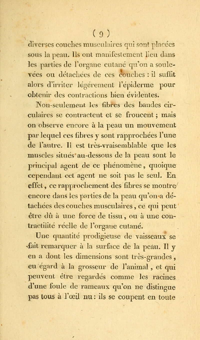 diverses coucbes musculaires qui soDt placées sous la peau. Ils ont nrianifeslement lieu dans les parties de Forgane cutané qu'on a soule- vées ou détacliées de ces couclies : il suffit alors d'irriter légèrement l'épiderme pour obtenir des contractions bien évidentes. INon-seulemeiit les fibres des bandes cir- culaires se contractent et se froncent ; mais on observe encore à la peau un mouvement par lequel ces fibres y sont rapprocbées l'une de l'autre. Il est très-vraisemblable que les muscles situés au-dessous de la peau sont le principal agent de ce phénomène, quoique cependant cet agent ne soit pas le seul. En effet, ce rapprochement des fibres se montre^ encore dans les parties de la peau qu'on a dé- tachées des couches musculaires, ce qui peut être dû à une force de tissu, ou à une eon- tractilité réelle de l'organe cutané. Une quantité prodigieuse de vaisseaux se ^fait remarquer à la surface de la peau. Il y en a dont les dimensions sont très-grandes, eu égard à la grosseur de l'animal, et qui peuvent être regardés comme les racines d'une foule de rameaux qu'on ne distingue pas tous à l'œil nu : ils se coupent en toute