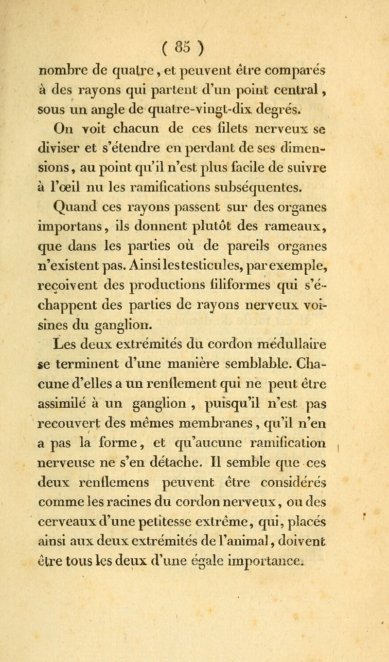 nombre de quatre, et peuvent être compares à des rayons qui partent d'un point central, sous un angle de quatre-vingt-dix degrés. On voit chacun de ces filets nerveux se diviser et s'étendre en perdant de ses dimen- sions, au point qu'il n'est plus facile de suivre à l'œil nu les ramifications subséquentes. Quand ces rayons passent sur des organes importans, ils donnent plutôt des rameaux, que dans les parties où de pareik organes n'existent pas. Ainsi les testicules, par exemple, reçoivent des productions filiformes qui s'ë- chappent des parties de rayons nerveux voi- sines du ganglion. Les deux extrémités du cordon médullaire se terminent d'une manière semblable. Cha- cune d'elles a un renflement qui ne peut être assimilé à un ganglion , puisqu'il n'est pas recouvert des mêmes membranes, qu'il n'en a pas la forme, et qu'aucune ramification nerveuse ne s'en détache. Il semble que ces deux renflemens peuvent être considérés comme les racines du cordon nerveux, ou des cerveaux d'une petitesse extrême, qui, placés ainsi aux deux extrémités de l'animal, doivent être tous les deux d'une égale importance^