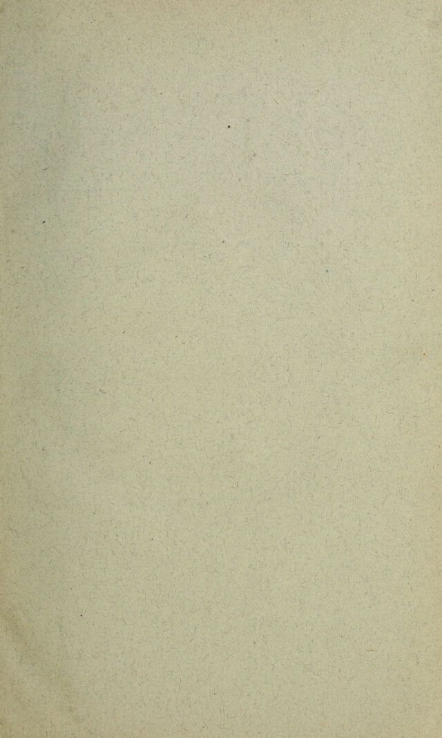 digitised image 3