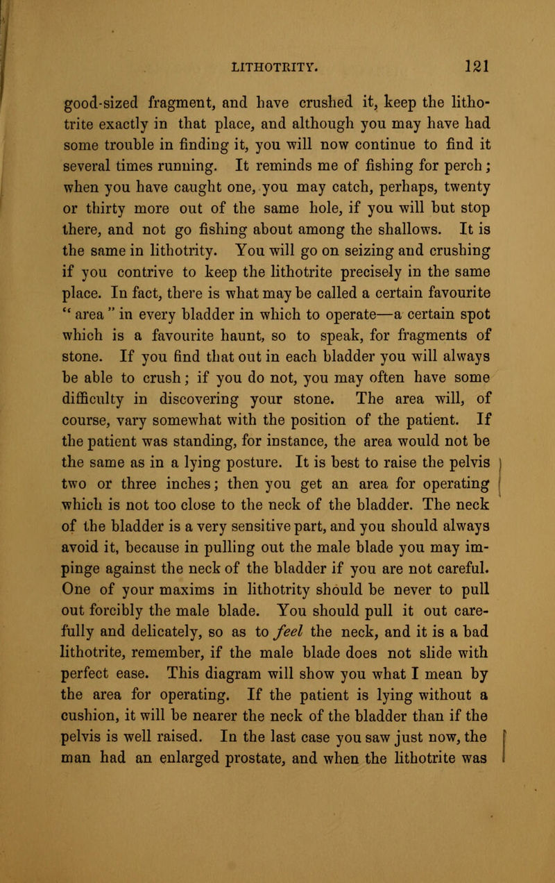 good-sized fragment, and have crushed it, keep the litho- trite exactly in that place, and although you may have had some trouble in finding it, you will now continue to find it several times running. It reminds me of fishing for perch; when you have caught one, you may catch, perhaps, twenty or thirty more out of the same hole, if you will but stop there, and not go fishing about among the shallows. It is the same in lithotrity. You will go on seizing and crushing if you contrive to keep the lithotrite precisely in the same place. In fact, there is what may be called a certain favourite  area  in every bladder in which to operate—a certain spot which is a favourite haunt, so to speak, for fragments of stone. If you find that out in each bladder you will always be able to crush; if you do not, you may often have some difficulty in discovering your stone. The area will, of course, vary somewhat with the position of the patient. If the patient was standing, for instance, the area would not be the same as in a lying posture. It is best to raise the pelvis two or three inches; then you get an area for operating which is not too close to the neck of the bladder. The neck of the bladder is a very sensitive part, and you should always avoid it, because in pulling out the male blade you may im- pinge against the neck of the bladder if you are not careful. One of your maxims in lithotrity should be never to pull out forcibly the male blade. You should pull it out care- fully and delicately, so as to feel the neck, and it is a bad lithotrite, remember, if the male blade does not slide with perfect ease. This diagram will show you what I mean by the area for operating. If the patient is lying without a cushion, it will be nearer the neck of the bladder than if the pelvis is well raised. In the last case you saw just now, the man had an enlarged prostate, and when the lithotrite was