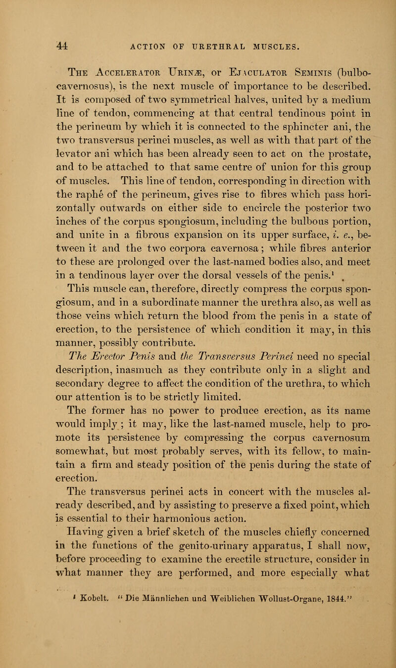 The Accelerator Urin^e, or Ejaculator Seminis (bulbo- cavernosus), is the next muscle of importance to be described. It is composed of two symmetrical halves, united by a medium line of tendon, commencing at that central tendinous point in the perineum by which it is connected to the sphincter ani, the two transversus perinei muscles, as well as with that part of the levator ani which has been already seen to act on the prostate, and to be attached to that same centre of union for this group of muscles. This line of tendon, corresponding in direction with the raphe of the perineum, gives rise to fibres which pass hori- zontally outwards on either side to encircle the posterior two inches of the corpus spongiosum, including the bulbous portion, and unite in a fibrous expansion on its upper surface, i. e., be- tween it and the two corpora cavernosa; while fibres anterior to these are prolonged over the last-named bodies also, and meet in a tendinous layer over the dorsal vessels of the penis.1 This muscle can, therefore, directly compress the corpus spon- giosum, and in a subordinate manner the urethra also, as well as those veins which return the blood from the penis in a state of erection, to the persistence of which condition it may, in this manner, possibly contribute. The Erector Penis and the Transversus Perinei need no special description, inasmuch as they contribute only in a slight and secondary degree to affect the condition of the urethra, to which our attention is to be strictly limited. The former has no power to produce erection, as its name would imply ; it may, like the last-named muscle, help to pro- mote its persistence by compressing the corpus cavernosum somewhat, but most probably serves, with its fellow, to main- tain a firm and steady position of the penis during the state of erection. The transversus perinei acts in concert with the muscles al- ready described, and by assisting to preserve a fixed point, which is essential to their harmonious action. Having given a brief sketch of the muscles chiefly concerned in the functions of the genito-urinary apparatus, I shall now, before proceeding to examine the erectile structure, consider in what manner they are performed, and more especially what ' Kobelt.  Die Mannliehen und Weiblichen Wollust-Organe, 1844.