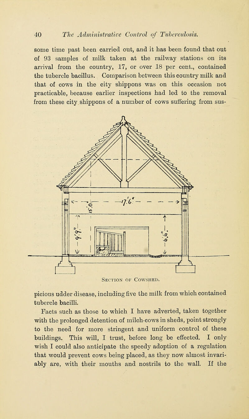 some time past been carried out, and it has been found that out of 93 samples of milk taken at the railway stations on its arrival from the country, 17, or over 18 per cent., contained the tubercle bacillus. Comparison between this country milk and that of cows in the city shippons was on this occasion not practicable, because earlier inspections had led to the removal from these city shippons of a number of cows suffering from sus- Section of Cowshed. picious udder disease, including five the milk from which contained tubercle bacilli. Facts such as those to which I have adverted, taken together with the prolonged detention of milch-cows in sheds, point strongly to the need for more stringent and uniform control of these buildings. This will, I trust, before long be effected. I only wish I could also anticipate the speedy adoption of a regulation that would prevent cows being placed, as they now almost invari- ably are, with their mouths and nostrils to the wall. If the