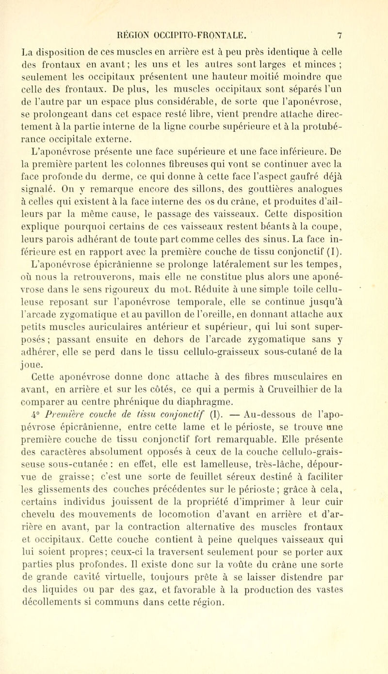 La disposition de ces muscles en arrière est à peu près identique à celle des frontaux en avant ; les uns et les autres sont larges et minces ; seulement les occipitaux présentent une hauteur moitié moindre que celle des frontaux. De plus, les muscles occipitaux sont séparés l'un de l'autre par un espace plus considérable, de sorte que l'aponévrose, se prolongeant dans cet espace resté libre, vient prendre attache direc- tement à la partie interne de la ligne courbe supérieure et à la protubé- rance occipitale externe. L'aponévrose présente une face supérieure et une face inférieure. De la première partent les colonnes fibreuses qui vont se continuer avec la face profonde du derme, ce qui donne à cette face l'aspect gaufré déjà signalé. On y remarque encore des sillons, des gouttières analogues à celles qui existent à la face interne des os du crâne, et produites d'ail- leurs par la même cause, le passage des vaisseaux. Cette disposition explique pourquoi certains de ces vaisseaux restent béants à la coupe, leurs parois adhérant de toute part comme celles des sinus. La face in- férieure est en rapport avec la première couche de tissu conjonctif (I). L'aponévrose épicrânienne se prolonge latéralement sur les tempes, où nous la retrouverons, mais elle ne constitue plus alors une aponé- vrose dans le sens rigoureux du mot. Réduite à une simple toile cellu- leuse reposant sur l'aponévrose temporale, elle se continue jusqu'à l'arcade zygomatique et au pavillon de l'oreille, en donnant attache aux petits muscles auriculaires antérieur et supérieur, qui lui sont super- posés ; passant ensuite en dehors de l'arcade zygomatique sans y adhérer, elle se perd dans le tissu cellulo-graisseux sous-cutané de la joue. Cette aponévrose donne donc attache à des fibres musculaires en avant, en arrière et sur les côtés, ce qui a permis à Cruveilhier de la comparer au centre phrénique du diaphragme. 4° Première couche de tissu conjonctif (I). — Au-dessous de l'apo- névrose épicrânienne, entre cette lame et le périoste, se trouve une première couche de tissu conjonctif fort remarquable. Elle présente des caractères absolument opposés à ceux de la couche cellulo-grais- seuse sous-cutanée : en effet, elle est lamelleuse, très-lâche, dépour- vue de graisse; c'est une sorte de feuillet séreux destiné à faciliter les glissements des couches précédentes sur le périoste; grâce à cela, certains individus jouissent de la propriété d'imprimer à leur cuir chevelu des mouvements de locomotion d'avant en arrière et d'ar- rière en avant, par la contraction alternative des muscles frontaux et occipitaux. Cette couche contient à peine quelques vaisseaux qui lui soient propres; ceux-ci la traversent seulement pour se porter aux parties plus profondes. Il existe donc sur la voûte du crâne une sorte de grande cavité virtuelle, toujours prête à se laisser distendre par des liquides ou par des gaz, et favorable à la production des vastes décollements si communs dans cette région.