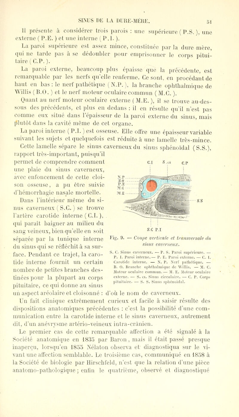 11 présente à considérer trois parois : une supérieure ( P.S. ), une externe ( P.E. ) et une interne ( P.l. ). La paroi supérieure est assez mince, constituée parla dure mère qui ne larde pas à se dédoubler pour emprisonner le corps pitui- taire ( C.P. ). La paroi externe, beaucoup plus épaisse que la précédente, est remarquable par les nerfs qu'elle renferme. Ce sont, en procédant de haut en bas : le nerf pathétique ( N.P. ), la branche ophthalmique de Willis ( B.O. ) et le nerf moteur oculaire commun ( M.G. ). Quant au nerf moteur oculaire externe ( M.E. ), il se trouve au-des- sous des précédents, et plus en dedans : il en résulte qu'il n'est pas comme eux situé dans l'épaisseur de la paroi externe du sinus, mais plutôt dans la cavité même de cet organe. La paroi interne (P.L ) est osseuse. Elle offre une épaisseur variable suivant les sujets et quelquefois est réduite à une lamelle très-mince. Cette lamelle sépare le sinus caverneux du sinus sphénoïdal (S.S.), rapport très-important, puisqu'il permet de comprendre comment ci s.ci CP une plaie du sinus caverneux, avec enfoncement de cette cloi- son osseuse, a pu être suivie d'hémorrhagie nasale mortelle. Dans l'intérieur même du si- ^^0 ^--JH — s.s nus caverneux ( S.C. ) se trouve l'artère carotide interne ( CI. ), qui parait baigner au milieu du sang veineux, bien qu'elle en soit séparée par la tunique interne Fi8'- 9- ~ CouPe verticale et transversale du du sinus qui se réfléchit à sa sur- sinm cave™e™- face. Pendant ce trajet, la caro- %c- ,sinpus cav™- -pwspParoi ™&™™- - J » P. I. Paroi interne.— P. E. Paroi externe. — C. I. tide interne fournit un Certain Carotide interne. — N. P. Nerf pathétique. — , ^ j ... , , . B. 0. Branche ophthalmique de Willis. — II. C. nomme Ue petites nrancnes CleS- Moteur oculaire commun.— M. E. Moteur oculaire tinéeS pOUr la plupart au COrpS externe. — S. ci. Sinus circulaire. — C. P. Corps pituitaire. — S. S. Sinus sphénoïdal. pituitaire, ce qui donne au sinus un aspect aréolaire et cloisonné : d'où le nom de caverneux. Un fait clinique extrêmement curieux et facile à saisir résulte des dispositions anatomiques précédentes : c'est la possibilité d'une com- munication entre la carotide interne et le sinus caverneux, autrement dit, d'un anévrysme artério-veineux intra-crânien. Le premier cas de cette remarquable affection a été signalé à la Société anatomique en 1835 par Baron, mais il était passé presque inaperçu, lorsqu'en 1855 Nélaton observa et diagnostiqua sur le vi- vant une affection semblable. Le troisième cas, communiqué en 1858 à la Société de biologie par Hirschfeld, n'est que la relation d'une pièce anatomo-pathologique ; enfin le quatrième, observé et diagnostiqué s.c r.i