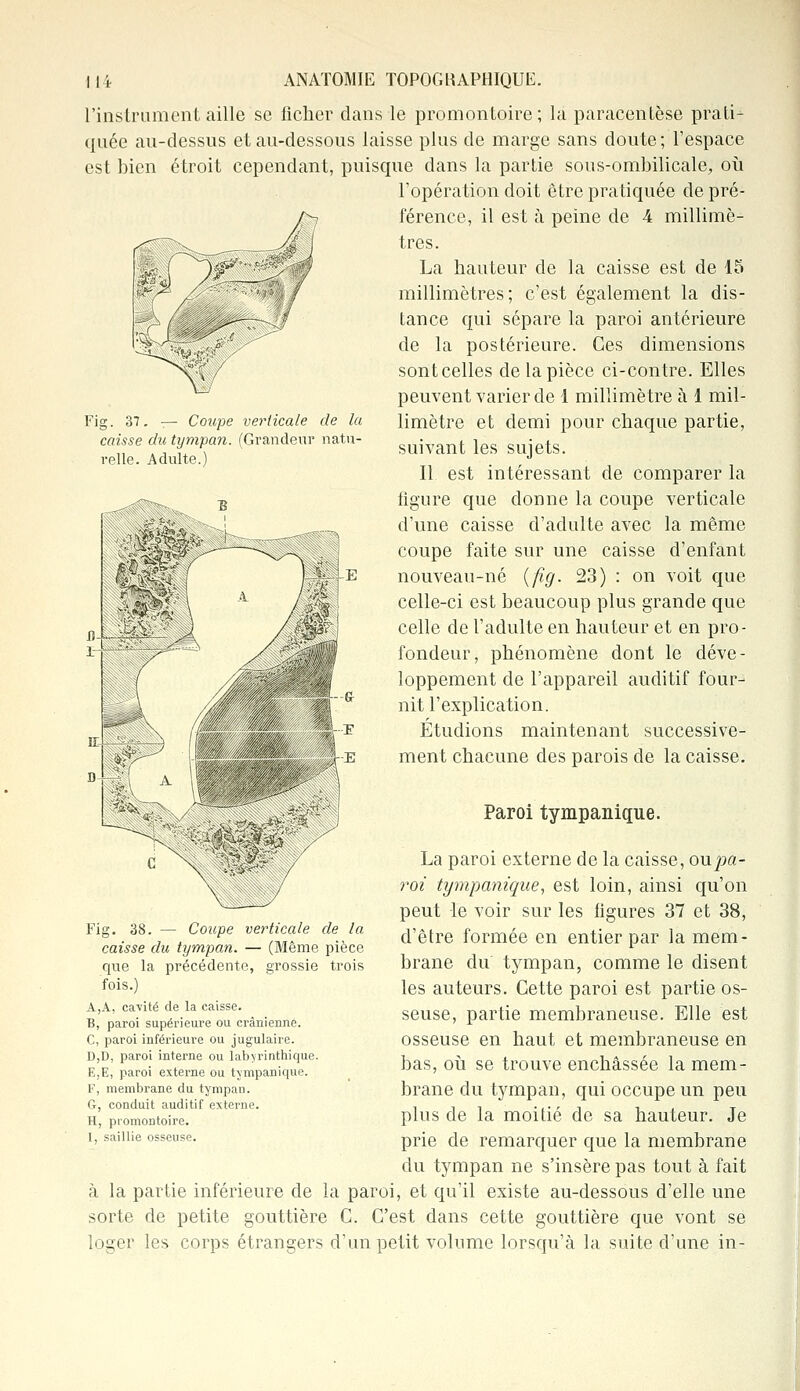 Fig. 37. — Coupe verticale de la caisse du tympan. (Grandeur natu- relle. Adulte.) 114 ANATOMIE TOPOGKAPHIQUE. l'instrument aille se ficher dans le promontoire; la paracentèse prati- quée au-dessus et au-dessous laisse plus de marge sans doute; l'espace est bien étroit cependant, puisque dans la partie sous-ombilicale, où l'opération doit être pratiquée de pré- /^ férence, il est à peine de 4 millimè- tres. La hauteur de la caisse est de 15 millimètres; c'est également la dis- tance qui sépare la paroi antérieure de la postérieure. Ces dimensions sont celles de la pièce ci-contre. Elles peuvent varier de 1 millimètre à 1 mil- limètre et demi pour chaque partie, suivant les sujets. Il est intéressant de comparer la figure que donne la coupe verticale d'une caisse d'adulte avec la même coupe faite sur une caisse d'enfant nouveau-né {fig. 23) : on voit que celle-ci est beaucoup plus grande que celle de l'adulte en hauteur et en pro- fondeur, phénomène dont le déve- loppement de l'appareil auditif four- nit l'explication. Etudions maintenant successive- ment chacune des parois de la caisse. Paroi tympaniçpie. La paroi externe de la caisse, on pa- roi tympanique, est loin, ainsi qu'on peut le voir sur les figures 37 et 38, d'être formée en entier par la mem- brane du tympan, comme le disent les auteurs. Cette paroi est partie os- seuse, partie membraneuse. Elle est osseuse en haut et membraneuse en bas, où se trouve enchâssée la mem- brane du tympan, qui occupe un peu plus de la moitié de sa hauteur. Je prie de remarquer que la membrane du tympan ne s'insère pas tout à fait à la partie inférieure de la paroi, et qu'il existe au-dessous d'elle une sorte de petite gouttière C. C'est dans cette gouttière que vont se loger les corps étrangers d'un petit volume lorsqu'à la suite d'une in- Fig. 38. — Coupe verticale de la caisse du tympan. — (Même pièce que la précédente, grossie trois fois.) A,A, cavité de la caisse. B, paroi supérieure ou crânienne. C, paroi inférieure ou jugulaire. D,D, paroi interne ou labvrinthique. E,E, paroi externe ou tympanique. F, membrane du tympan. G, conduit auditif externe. H, promontoire. I, saillie osseuse.