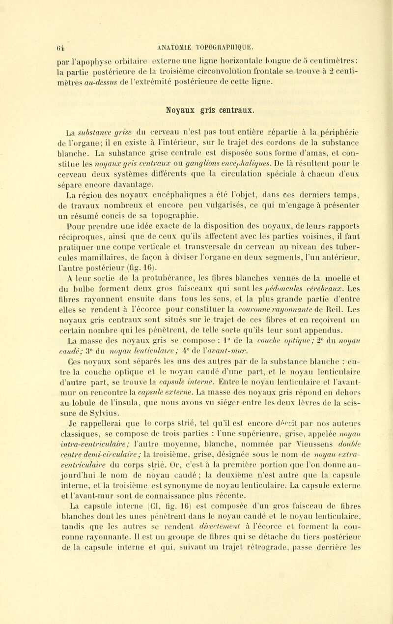 par l'apophyse orbitaire externe une ligne horizontale longue de 5 centimètres : la partie postérieure de la troisième circonvolution frontale se trouve à 2 centi- mètres au-dessus de l'extrémité postérieure de cette ligne. Noyaux gris centraux. La substance grise du cerveau n'est pas tout entière répartie à la périphérie de l'organe; il en existe à l'intérieur, sur le trajet des cordons de la substance blanche. La substance grise centrale est disposée sous forme d'amas, et con- stitue les noyaux gins centraux ou ganglions encéphaliques. De là résultent pour le cerveau deux systèmes différents que la circulation spéciale à chacun d'eux sépare encore davantage. La région des noyaux encéphaliques a été l'objet, dans ces derniers temps, de travaux nombreux et encore peu vulgarisés, ce qui m'engage à présenter un résumé concis de sa topographie. Pour prendre une idée exacte de la disposition des noyaux, de leurs rapports réciproques, ainsi que de ceux qu'ils affectent avec les parties voisines, il faut pratiquer une coupe verticale et transversale du cerveau au niveau des tuber- cules mamillaires, de façon à diviser l'organe en deux segments, l'un antérieur, l'autre postérieur (fig. 16). A leur sortie de la protubérance, les fibres blanches venues de la moelle et du bulbe forment deux gros faisceaux qui sont les pédoncules cérébraux. Les fibres rayonnent ensuite dans tous les sens, et la plus grande partie d'entre elles se rendent à l'écorce pour constituer la couronne rayonnante de Reil. Les noyaux gris centraux sont situés sur le trajet de ces fibres et en reçoivent un certain nombre qui les pénètrent, de telle sorte qu'ils leur sont appendus. La masse des noyaux gris se compose : 1° de la couche optique ; 2° du noyau caudé; 3° du noyau lenticulaire ; -4° de Y avant-mur. Ces noyaux sont séparés les uns des autres par de la substance blanche : en- tre la couche optique et le noyau caudé d'une part, et le noyau lenticulaire d'autre part, se trouve la capsule interne. Entre le noyau lenticulaire et l'avant- mur on rencontre la capsule externe. La masse des noyaux gris répond en dehors au lobule de l'insula, que nous avons vu siéger entre les deux lèvres de la scis- sure de Sylvius. Je rappellerai que le corps strié, tel qu'il est encore décrit par nos auteurs classiques, se compose de trois parties : l'une supérieure, grise, appelée noyau intra-ventriculaire; l'autre moyenne, blanche, nommée par Yieussens double centre demi-circulaire ; la troisième, grise, désignée sous le nom de noyau extra- ventriculaire du corps strié. Or, c'est à la première portion que l'on donne au- jourd'hui le nom de noyau caudé ; la deuxième n'est autre que la capsule interne, et la troisième est synonyme de noyau lenticulaire. La capsule externe et l'avant-mur sont de connaissance plus récente. La capsule interne (CI, fig. 16) est composée d'un gros faisceau de fibres blanches dont les unes pénètrent dans le noyau caudé et le noyau lenticulaire, tandis que les autres se rendent directement à l'écorce et forment la cou- ronne rayonnante. 11 est un groupe de fibres qui se détache du tiers postérieur de la capsule interne et qui, suivant un trajet rétrograde, passe derrière les