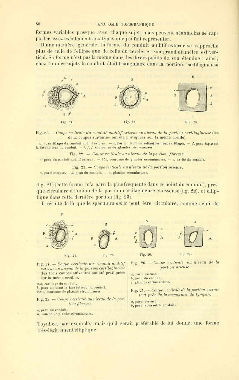 formes variables presque avec chaque sujet, mais peuvent néanmoins se rap- porter assez exactement aux types que j'ai fait représenter. D'une manière générale, la forme du conduit auditif externe se rapproche plus de celle de l'ellipse que de celle du cercle, et son grand diamètre est ver- tical. Sa forme n'est pas la même dans les divers points de son étendue : ainsi, chez l'un des sujets le conduit était triangulaire dans la portion cartilagineuse dT ./ M *-éÈ£ Ï*A Fig. 21. — Coupe verticale du conduit auditif externe au niveau de la portion cartilagineuse (les deux coupes suivantes ont été pratiquées sur la même oreille). a, a, cartilages du conduit auditif externe. — c, portion fibreuse reliant les deux cartilages. — d, peau tapissant la face interne du conduit. — f, f, f, couronnes de glandes cérumineuses. Fig. 22. — Coupe verticale au niveau de la portion fibreuse. «, peau du conduit auditif externe. — bbb, couronne de glandes cérumineuses. — c, cavité du conduit. Fig. 23. — Coupe verticale au niveau de la portion osseuse, a, paroi osseuse. — 6, peau du conduit. — e, glandes cérumineuses. (fig. 21) (cette forme m'a paru la plus fréquente dans ce point du conduit), pres- que circulaire à l'union de la portion cartilagineuse et osseuse (fig. 22), et ellip- tique dans cette dernière portion (fig. 23). Il résulte de là que le spéculum auris peut être circulaire, comme celui de Fie. Fisr. 25. Fig. 24. — Coupe verticale du conduit auditif externe au niveau de la portion cartilagineuse (les trois coupes suivantes ont été pratiquées sur la même oreille). a,a, cartilage du conduit. b, peau tapissant la face Interne du conduit. c,c,c, couronne de glandes cérumineuses. Fig. 25. — Coupe verticale au niveau de la por- tion fibreuse. Fig. 26. Fig. 27. Fig. 26. — Coupe verticale au niveau de la portion osseuse. a, paroi osseuse. b, peau du conduit. c, glandes cérumineuses. Fig. 27. — Coupe verticale de la portion osseuse tout près de la membrane du tympan. a, paroi osseuse. b, peau tapissant le conduit. a, peau du conduit. b, couche de glandes cérumineuses. Toynbee, par exemple, mais qu'il serait préférable de lui donner une forme très-légèrement elliptique.