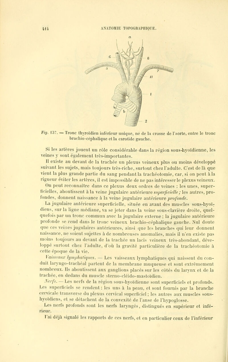 Fig. 137. — Tronc thyroïdien inférieur unique, né de la crosse de l'aorte, entre le tronc brachio-céphalique et la carotide gauche. Si les artères jouent un rôle considérable dans la région sous-hyoïdienne, les veines y sont également très-importantes. Il existe au devant de la trachée un plexus veineux plus ou moins développé suivant les sujets, mais toujours très-riche, surtout chez l'adulte. C'est de là que vient la plus grande partie du sang pendant la trachéotomie, car, si on peut à la rigueur éviter les artères, il est impossible de ne pas intéresser le plexus veineux. On peut reconnaître dans ce plexus deux ordres de veines : les unes, super- ficielles, aboutissent à la veine jugulaire antérieure superficielle ; les autres, pro- fondes, donnent naissance à la veine jugulaire antérieure profonde. La jugulaire antérieure superficielle, située en avant des muscles sous-hyoïT diens, sur la ligne médiane, va se jeter dans la veine sous-clavière droite, quel- quefois par un tronc commun avec la jugulaire externe ; la jugulaire antérieure profonde se rend dans le tronc veineux brachio-céphalique gauche. Nul doute que ces veines jugulaires antérieures, ainsi que les branches qui leur donnent naissance, ne soient sujettes à de nombreuses anomalies, mais il n'en existe pas moins toujours au devant de la trachée un lacis veineux très-abondant, déve- loppé surtout chez l'adulte, d'où la gravité particulière de la trachéotomie à cette époque de la vie. Vaisseaux lymphatiques. — Les vaisseaux lymphatiques qui naissent du con- duit laryngo-trachéal partent de la membrane muqueuse et sont extrêmement nombreux. Ils aboutissent aux ganglions placés sur les côtés du larynx et de la trachée, en dedans du muscle sterno-cléido-mastoïdien. Nerfs. — Les nerfs de la région sous-hyoïdienne sont superficiels et profonds. Les superficiels se rendent : les uns à la peau, et sont fournis par la branche cervicale transverse du plexus cervical superficiel ; les autres aux muscles sous- hyoïdiens, et se détachent de la convexité de l'anse de l'hypoglosse. Les nerfs profonds sont les nerfs laryngés, distingués en supérieur et infé- rieur. T'ai déjà signalé les rapports de ces nerfs, et en particulier ceux de l'inférieur