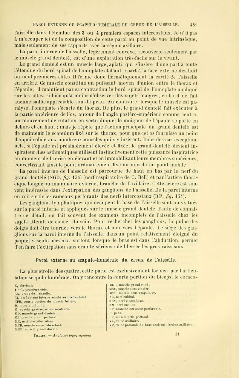 l'aisselle dans l'étendue des 3 ou 4 premiers espaces intercostaux. Je n'ai pas à m'occuper ici de la composition de cette paroi au point de vue intrinsèque, mais seulement de ses rapports avec la région axillaire. La paroi interne de l'aisselle, légèrement convexe, recouverte seulement par- le muscle grand dentelé, est d'une exploration très-facile sur le vivant. Le grand dentelé est un muscle large, aplati, qui s'insère d'une part à toute l'étendue du bord spinal de l'omoplate et d'autre part à la face externe des huit ou neuf premières côtes. Il ferme donc hermétiquement la cavité de l'aisselle en arrière. Ce muscle constitue un puissant moyen d'union entre le thorax et l'épaule ; il maintient par sa contraction le bord spinal de l'omoplate appliqué sur les côtes, si bien qu'à moins d'observer des sujets maigres, ce bord ne fait aucune saillie appréciable sous la peau. Au contraire, lorsque le muscle est pa- ralysé, l'omoplate s'écarte du thorax. De plus, le grand dentelé fait exécuter à la partie antérieure de l'os, autour de l'angle postéro-supérieur comme centre, un mouvement de rotation en vertu duquel le moignon de l'épaule se porte en dehors et en haut : mais je répète que l'action principale du grand dentelé est de maintenir le scapulum fixé sur le thorax, pour que cet os fournisse un point d'appui solide aux nombreux muscles qui s'y insèrent. Dans des cas exception- nels, si l'épaule est préalablement élevée et fixée, le grand dentelé devient in- spirateur. Les asthmatiques utilisent instinctivement cette puissance inspiratrice au moment de la crise en élevant et en immobilisant leurs membres supérieurs, convertissant ainsi le point ordinairement fixe du muscle en point mobile. La paroi interne de l'aisselle est parcourue de haut en bas par le nerf du grand dentelé (NGD, fig. 154) (nerf respiratoire de G. Bell) et par l'artère thora- cique longue ou mammaire externe, branche de l'axillaire. Cette artère est sou- vent intéressée dans l'extirpation des ganglions de l'aisselle. De la paroi interne on voit sortir les rameaux perforants des nerfs intercostaux (BP, fig. 154). Les ganglions lymphatiques qui occupent la base de l'aisselle sont tous situés sur la paroi interne et appliqués sur le muscle grand dentelé. Faute de connaî- tre ce détail, on fait souvent des examens incomplets de l'aisselle chez les sujets atteints de cancer du sein. Pour rechercher les ganglions, la pulpe des doigts doit être tournée vers le thorax et non vers l'épaule. Le siège des gan- glions sur la paroi interne de l'aisselle, dans un point relativement éloigné du paquet vasculo-nerveux, surtout lorsque le bras est dans l'abduction, permet d'en faire l'extirpation sans crainte sérieuse de blesser les gros vaisseaux. Paroi externe ou scapulo-humérale du creux de l'aisselle. La plus étroite des quatre, cette paroi est exclusivement formée par l'articu- lation scapulo-humérale. On y rencontre la courte portion du biceps, le coraco- (.'., clavicule. l C, première côte. CA., creux de l'aisselle. Cl, nerf cutané interne accolé au nerf cubital. l'.PB, courte portion du muscle biceps. 1), muscle deltoïde. G, couche graisseuse sous-cutanée. GD, muscle grand dentelé. GP, muscle grand pectoral. MC, nerf musculo-cutané. MCB, muscle coraco-brachial. MGD, muscle grand dorsal. Tillaux. — Anatomie topographique.  ' MGR, muscle graud rond. MSC, muscle sous-clavier. MSS, muscle sous-scapulaire. NC, nerf cubital. NCX, nerf circonflexe. N.M, nerf médian. BP, branche nerveuse perforante. P, peau. PP, muscle petit pectoral. YA, veine axillaire. VP, veine profonde du bras croisant l'artère axillaire