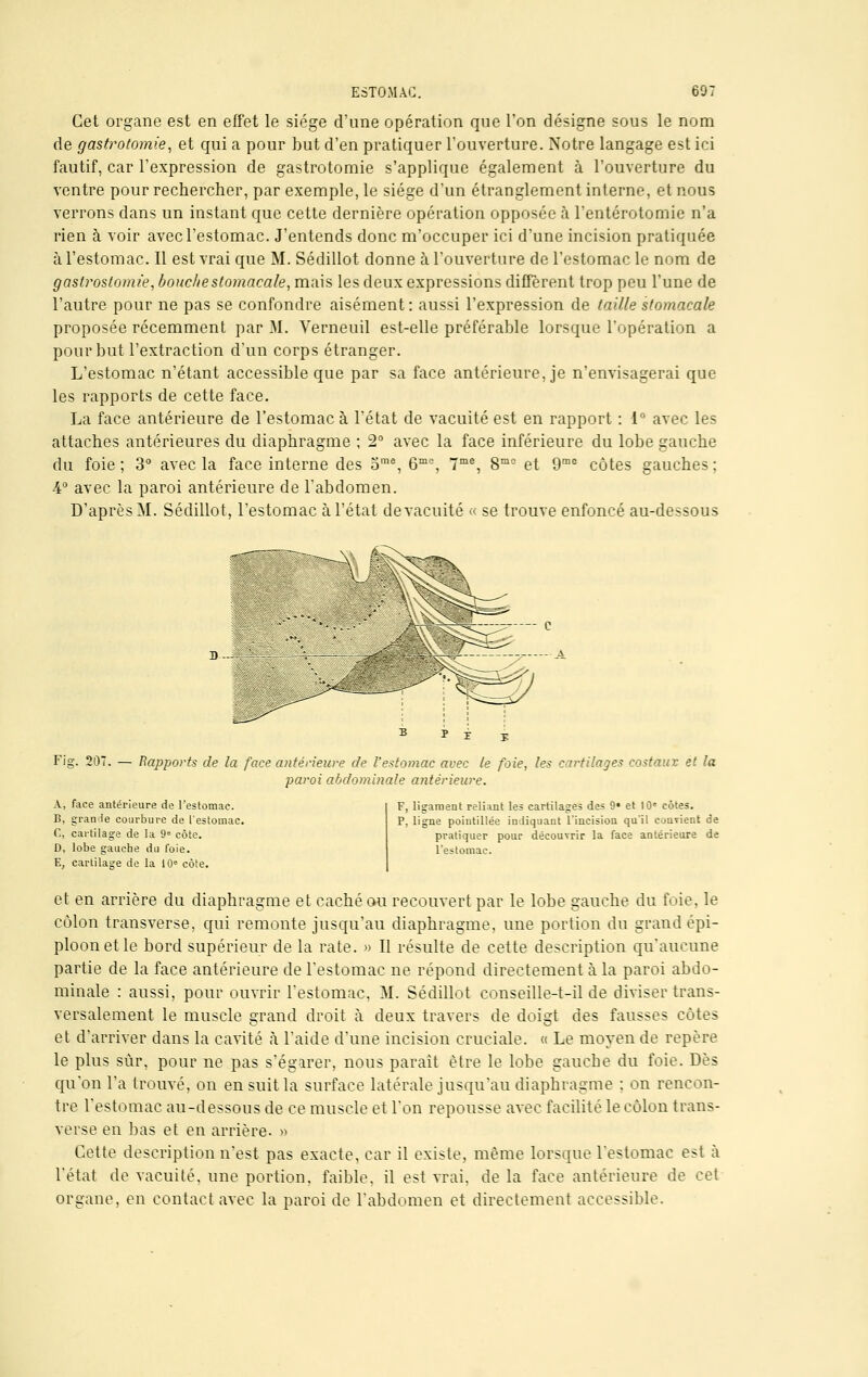 Cet organe est en effet le siège d'une opération que l'on désigne sous le nom de gastrotomie, et qui a pour but d'en pratiquer l'ouverture. Notre langage est ici fautif, car l'expression de gastrotomie s'applique également à l'ouverture du ventre pour rechercher, par exemple, le siège d'un étranglement interne, et nous verrons dans un instant que cette dernière opération opposée à l'entérotomie n'a rien à voir avec l'estomac. J'entends donc m'occuper ici d'une incision pratiquée à l'estomac. Il est vrai que M. Sédillot donne à l'ouverture de l'estomac le nom de gastrostomie, bouche stomacale, mais les deux expressions différent trop peu l'une de l'autre pour ne pas se confondre aisément: aussi l'expression de (aille stomacale proposée récemment par M. Verneuil est-elle préférable lorsque l'opération a pour but l'extraction d'un corps étranger. L'estomac n'étant accessible que par sa face antérieure, je n'envisagerai que les rapports de cette face. La face antérieure de l'estomac à l'état de vacuité est en rapport : 1° avec les attaches antérieures du diaphragme ; 2° avec la face inférieure du lobe gauche du foie; 3° avec la face interne des ome, 6mc, 7me, 8mo et 9me côtes gauches; 4° avec la paroi antérieure de l'abdomen. D'après M. Sédillot, l'estomac à l'état de vacuité « se trouve enfoncé au-dessous —- c Fig. 207. — Rapports de la face antérieure de l'estomac avec le foie, les cartilages costaux et la paroi abdominale antérieure. F, ligament reliant les cartilages des 9» et 10e côtes. P, ligne pointillée indiquant l'incision qu'il convient de pratiquer pour découvrir la face antérieure de l'estomac. A, face antérieure de l'estomac. B, grande courbure de l'estomac. C, cartilage de la 98 côte. D, lobe gaucbe du l'oie. E, cartilage de la 10e côte. et en arrière du diaphragme et caché ou recouvert par le lobe gauche du foie, le côlon transverse, qui remonte jusqu'au diaphragme, une portion du grand épi- ploonetle bord supérieur de la rate. » Il résulte de cette description qu'aucune partie de la face antérieure de l'estomac ne répond directement à la paroi abdo- minale : aussi, pour ouvrir l'estomac. M. Sédillot conseille-t-il de diviser trans- versalement le muscle grand droit à deux travers de doigt des fausses côtes et d'arriver dans la cavité à l'aide d'une incision cruciale. « Le moyen de repère le plus sur, pour ne pas s'égarer, nous parait être le lobe gaucbe du foie. Dès qu'on l'a trouvé, on en suit la surface latérale jusqu'au diaphragme : on rencon- tre l'estomac au-dessous de ce muscle et l'on repousse avec facilité le côlon trans- verse en bas et en arrière. » Cette description n'est pas exacte, car il existe, même lorsque l'estomac est à l'état de vacuité, une portion, faible, il est vrai, de la face antérieure de cet organe, en contact avec la paroi de l'abdomen et directement accessible.