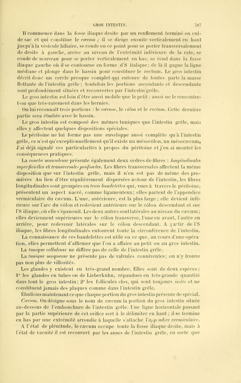 11 commence dans la fosse iliaque droite par un renflement terminé en cul- de sac et qui constitue le cœeum ; il se dirige ensuite verticalement en haut jusqu'à la vésicule biliaire, se coude en ce point pour se porter transversalement de droite à gauche, arrive au niveau de l'extrémité inférieure de la rate, se coude de nouveau pour se porter verticalement en bas, se rend dans la fosse iliaque gauche où il se contourne en forme d'S italique; de là il gagne la ligne médiane et plonge dans le bassin pour constituer le rectum. Le gros intestin décrit donc un cercle presque complet qui entoure de toutes parts la masse flottante de l'intestin grêle ; toutefois les portions ascendante et descendante sont profondément situées et recouvertes par l'intestin grêle. Le gros intestin est loin d'être aussi mobile que le petit : aussi ne le rencontre- t-on que très-rarement dans les hernies. On lui reconnaît trois portions : le cœcum, le <ôlon et le rectum. Cette dernière partie sera étudiée avec le bassin. Le gros intestin est composé des mêmes tuniques que l'intestin grêle, mais elles y affectent quelques dispositions spéciales. Le péritoine ne lui forme pas une enveloppe aussi complète qu'à l'intestin grêle, ce n'est qu'exceptionnellement qu'il existe un mésocôlon, un mésoeœcum. J'ai déjà signalé ces particularités à propos du péritoine et j'en ai montré les conséquences pratiques. La couche niusculeuse présente également deux ordres de fibres : longitudinales superficielles et transversale*profondes. Les fibres transversales affectent la même disposition que sur l'intestin grêle, mais il n'en est pas de même des pre- mières- Au lieu d'être régulièrement dispersées autour de l'intestin, les fibres longitudinales sont groupées en ti'ois bandelettes qui, vues à travers le péritoine, présentent un aspect nacré, comme ligamenteux; elles partent de l'appendice vermiculaire du caecum. L'une, antérieure, est la plus large ; elle devient infé- rieure sur l'arc du côlon et redevient antérieure sur le côlon descendant et sur l'S iliaque, où elle s'épanouit. Les deux autres sontlatéralcs au niveau du cœcum ; elles deviennent supérieures sur le côlon transverse, l'une en avant, l'autre en arrière, pour redevenir latérales sur le côlon descendant. A rartir de l'S iliaque, les fibres longitudinales entourent toute la circonférence de l'intestin. La connaissance de ces bandelettes est utile en ce que, au cours d'une opéra- tion, elles permettent d'affirmer que l'on a affaire au petit ou au gros intestin. La tunique celluleuse ne diffère pas de celle de l'intestin grêle. La tunique muqueuse ne présente pas de valvules connivenles; on n'y trouve pas non plus de villosités. Les glandes y existent en très-grand nombre. Elles sont de deux espèces : 1° les glandes en tubes ou de Lieberkuhn, répandues en très-grande quantité dans tout le gros intestin; 2° les follicules clos, qui sont toujours isolés et ne constituent jamais des plaques comme dans l'intestin grêle. Étudions maintenant ce que chaque portion du gros intestin présente de spécial. Çœcum. On désigne sous le nom de. cœcum la portion du gros intestin située au-dessous de l'embouchure de l'intestin grêle. Une ligne horizontale passant par la partie supérieure de cet orifice sert à le délimiter en haut ; il se termine en bas par une extrémité arrondie à laquelle s'attache l'appendice vermiculaire. A l'état de plénitude, le cœcum occupe toute la fosse iliaque droite, mais à l'état de vacuité il est recouvert par les anses de l'intestin grêle, en sorte que