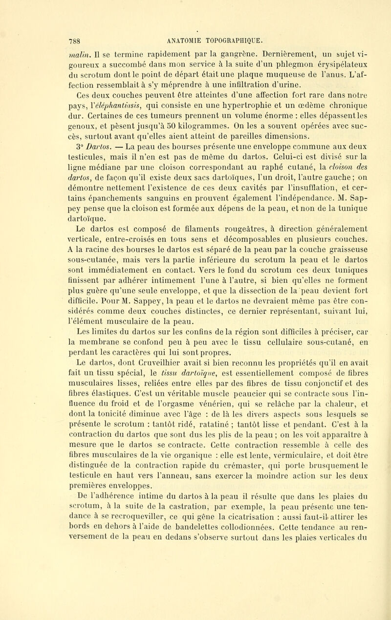malin. Il se termine rapidement par la gangrène. Dernièrement, un sujet vi- goureux a succombé dans mon service à la suite d'un phlegmon érysipélateux du scrotum dont le point de départ était une plaque muqueuse de l'anus. L'af- fection ressemblait à s'y méprendre à une infiltration d'urine. Ces deux couches peuvent être atteintes d'une affection fort rare dans notre pays, Yéléphantiasis, qui consiste en une hypertrophie et un œdème chronique dur. Certaines de ces tumeurs prennent un volume énorme : elles dépassent les genoux, et pèsent jusqu'à 50 kilogrammes. On les a souvent opérées avec suc- cès, surtout avant qu'elles aient atteint de pareilles dimensions. 3° Dartos. — La peau des bourses présente une enveloppe commune aux deux testicules, mais il n'en est pas de même du dartos. Celui-ci est divisé sur la ligne médiane par une cloison correspondant au raphé cutané, la cloison des dai'tos, de façon qu'il existe deux sacs dartoïques, l'un droit, l'autre gauche; on démontre nettement l'existence de ces deux cavités par l'insufflation, et cer- tains épanchements sanguins en prouvent également l'indépendance. M. Sap- pey pense que la cloison est formée aux dépens de la peau, et non de la tunique dartoïque. Le dartos est composé de filaments rougeâtres, à direction généralement verticale, entre-croisés en tous sens et décomposables en plusieurs couches. A la racine des bourses le dartos est séparé de la peau par la couche graisseuse sous-cutanée, mais vers la partie inférieure du scrotum la peau et le dartos sont immédiatement en contact. Vers le fond du scrotum ces deux tuniques finissent par adhérer intimement l'une à l'autre, si bien qu'elles ne forment plus guère qu'une seule enveloppe, et que la dissection de la peau devient fort difficile. Pour M. Sappey, la peau et le dartos ne devraient même pas être con- sidérés comme deux couches distinctes, ce dernier représentant, suivant lui, l'élément musculaire de la peau. Les limites du dartos sur les confins de la région sont difficiles à préciser, car la membrane se confond peu à peu avec le tissu cellulaire sous-cutané, en perdant les caractères qui lui sont propres. Le dartos, dont Cruveilhier avait si bien reconnu les propriétés qu'il en avait fait un tissu spécial, le tissu dartoïque, est essentiellement composé de fibres musculaires lisses, reliées entre elles par des fibres de tissu conjonctif et des fibres élastiques. C'est un véritable muscle peaucier qui se contracte sous l'in- fluence du froid et de l'orgasme vénérien, qui se relâche par la chaleur, et dont la tonicité diminue avec l'âge : de là les divers aspects sous lesquels se présente le scrotum : tantôt ridé, ratatiné ; tantôt lisse et pendant. C'est à la contraction du dartos que sont dus les plis de la peau ; on les voit apparaître à mesure que le dartos se contracte. Cette contraction ressemble à celle des fibres musculaires de la vie organique : elle est lente, vermiculaire, et doit être distinguée de la contraction rapide du crémaster, qui porte brusquement le testicule en haut vers l'anneau, sans exercer la moindre action sur les deux premières enveloppes. De l'adhérence intime du dartos à la peau il résulte que dans les plaies du scrotum, à la suite de la castration, par exemple, la peau présente une ten- dance à se recroqueviller, ce qui gêne la cicatrisation : aussi faut-il. attirer les bords en dehors à l'aide de bandelettes collodionnées. Cette tendance au ren- versement de la peau en dedans s'observe surtout dans les plaies verticales du