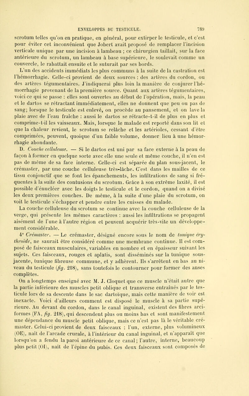 scrotum telles qu'on en pratique, en général, pour extirper le testicule, et c'est pour éviter cet inconvénient que Jobert avait proposé de remplacer l'incision verticale unique par une incision à lambeau ; ce chirurgien taillait, sur la face antérieure du scrotum, un lambeau à base supérieure, le soulevait comme un couvercle, le rabattait ensuite et le suturait par ses bords. L'un des accidents immédiats les plus communs à la suite de la castration est l'hémorrhagie. Celle-ci provient de deux sources : des artères du cordon, ou des artères tégumentaires. J'indiquerai plus loin la manière de conjurer l'hé- morrhagie provenant de la première source. Quant aux artères tégumentaires, voici ce qui se passe : elles sont ouvertes au début de l'opération, mais, la peau et le dartos se rétractant immédiatement, elles ne donnent que peu ou pas de sang; lorsque le testicule est enlevé, on procède au pansement, et on lave la plaie avec de l'eau fraîche : aussi le dartos se rétracte-t-il de plus en plus et comprime-t-il les vaisseaux. Mais, lorsque le malade est reporté dans son lit et que la chaleur revient, le scrotum se relâche et les artérioles, cessant d'être comprimées, peuvent, quoique d'un faible volume, donner lieu à une hémor- rhagie abondante. D. Couche celluleuse. — Si le dartos est uni par sa face externe à la peau de façon à former en quelque sorte avec elle une seule et même couche, il n'en est pas de même de sa face interne. Celle-ci est séparée du plan sous-jacent, le crémaster, par une couche celluleuse très-lâche. C'est dans les mailles de ce tissu conjonctif que se font les épanchements, les infiltrations de sang si fré- quentes à la suite des contusions du scrotum. Grâce à son extrême laxité, il est possible d'énucléer avec les doigts le testicule et le cordon, quand on a divisé les deux premières couches. De même, à la suite d'une plaie du scrotum, on voit le testicule s'échapper et pendre entre les cuisses du malade. La couche celluleuse du scrotum se continue avec la couche celluleuse de la verge, qui présente les mêmes caractères : aussi les infiltrations se propagent aisément de l'une à l'autre région et peuvent acquérir très-vite un développe- ment considérable. 4° Crémaster. — Le crémaster, désigné encore sous le nom de tunique éry- throïde, ne saurait être considéré comme une membrane continue. Il est com- posé de faisceaux musculaires, variables en nombre et en épaisseur suivant les sujets. Ces faisceaux, rouges et aplatis, sont disséminés sur la tunique sous- jacente, tunique fibreuse commune, et y adhèrent. Ils s'arrêtent en bas au ni- veau du testicule (fîg. 218), sans toutefois le contourner pour former des anses complètes. On a longtemps enseigné avec M. J. Cloquet que ce muscle n'était autre que la partie inférieure des muscles petit oblique et transverse entraînés par le tes- ticule lors de sa descente dans le sac dartoïque, mais cette manière de voir est inexacte. Voici d'ailleurs comment est disposé le muscle à sa partie supé- rieure. Au devant du cordon, dans le canal inguinal, existent des fibres arci- formes (FA, fîg. 218), qui descendent plus ou moins bas et sont manifestement une dépendance du muscle petit oblique, mais ce n'est pas là le véritable cré- master. Celui-ci provient de deux faisceaux : l'un, externe, plus volumineux (OE), naît de l'arcade crurale, à l'intérieur du canal inguinal, et n'apparaît que lorsqu'on a fendu la paroi antérieure de ce canal; l'autre, interne, beaucoup plus petit (01), naît de l'épine du pubis. Ces deux faisceaux sont composés de