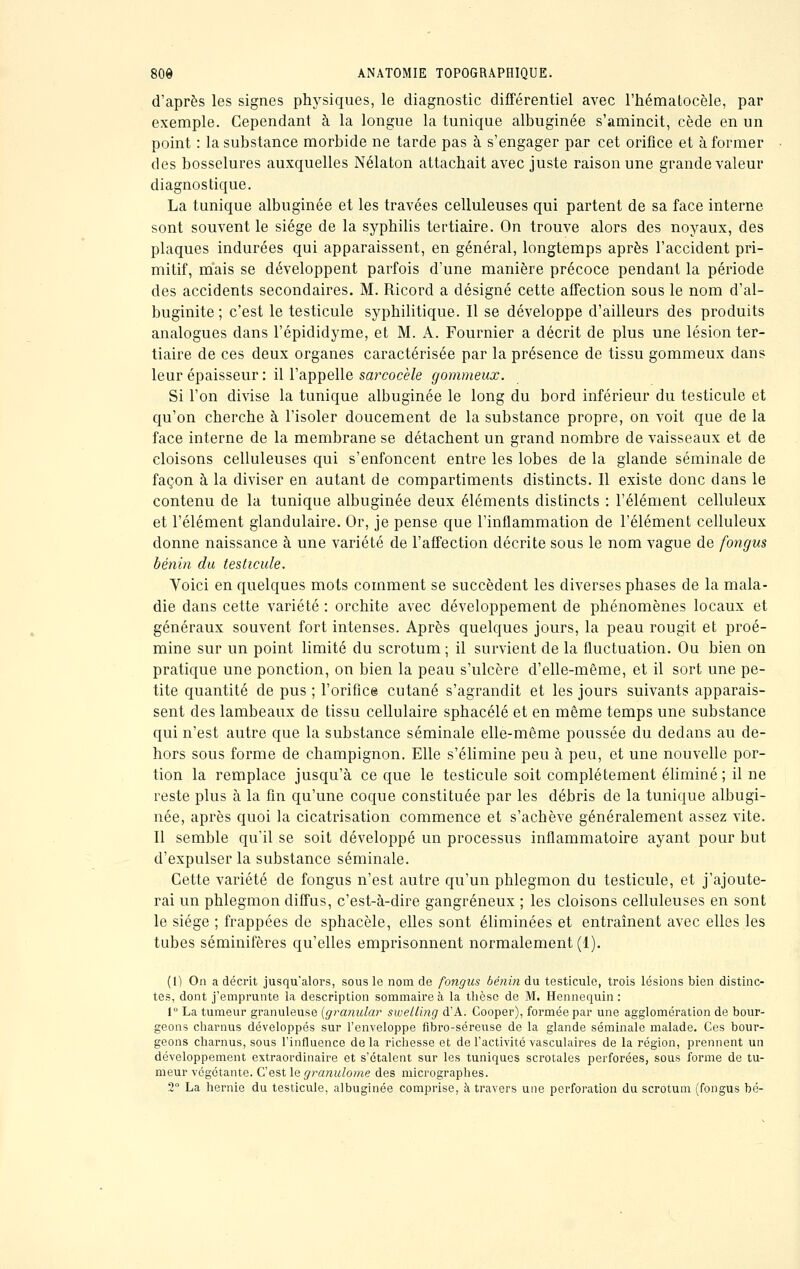 d'après les signes physiques, le diagnostic différentiel avec l'hématocèle, par exemple. Cependant à la longue la tunique albuginée s'amincit, cède en un point : la substance morbide ne tarde pas à s'engager par cet orifice et à former des bosselures auxquelles Nélaton attachait avec juste raison une grande valeur diagnostique. La tunique albuginée et les travées celluleuses qui partent de sa face interne sont souvent le siège de la syphilis tertiaire. On trouve alors des noyaux, des plaques indurées qui apparaissent, en général, longtemps après l'accident pri- mitif, mais se développent parfois d'une manière précoce pendant la période des accidents secondaires. M. Ricord a désigné cette affection sous le nom d'al- buginite ; c'est le testicule syphilitique. Il se développe d'ailleurs des produits analogues dans l'épididyme, et M. A. Fournier a décrit de plus une lésion ter- tiaire de ces deux organes caractérisée par la présence de tissu gommeux dans leur épaisseur : il l'appelle sarcocèle gommeux. Si l'on divise la tunique albuginée le long du bord inférieur du testicule et qu'on cherche à l'isoler doucement de la substance propre, on voit que de la face interne de la membrane se détachent un grand nombre de vaisseaux et de cloisons celluleuses qui s'enfoncent entre les lobes de la glande séminale de façon à la diviser en autant de compartiments distincts. Il existe donc dans le contenu de la tunique albuginée deux éléments distincts : l'élément celluleux et l'élément glandulaire. Or, je pense que l'inflammation de l'élément celluleux donne naissance à une variété de l'affection décrite sous le nom vague de fongus bénin du testicule. Voici en quelques mots comment se succèdent les diverses phases de la mala- die dans cette variété : orchite avec développement de phénomènes locaux et généraux souvent fort intenses. Après quelques jours, la peau rougit et proé- mine sur un point limité du scrotum ; il survient de la fluctuation. Ou bien on pratique une ponction, on bien la peau s'ulcère d'elle-même, et il sort une pe- tite quantité de pus ; l'orifice cutané s'agrandit et les jours suivants apparais- sent des lambeaux de tissu cellulaire sphacélé et en même temps une substance qui n'est autre que la substance séminale elle-même poussée du dedans au de- hors sous forme de champignon. Elle s'élimine peu à peu, et une nouvelle por- tion la remplace jusqu'à ce que le testicule soit complètement éliminé; il ne reste plus à la fin qu'une coque constituée par les débris de la tunique albugi- née, après quoi la cicatrisation commence et s'achève généralement assez vite. Il semble qu'il se soit développé un processus inflammatoire ayant pour but d'expulser la substance séminale. Cette variété de fongus n'est autre qu'un phlegmon du testicule, et j'ajoute- rai un phlegmon diffus, c'est-à-dire gangreneux ; les cloisons celluleuses en sont le siège ; frappées de sphacèle, elles sont éliminées et entraînent avec elles les tubes séminifères qu'elles emprisonnent normalement (1). (1) On a décrit jusqu'alors, sous le nom de fongus bénin du testicule, trois lésions bien distinc- tes, dont j'emprunte la description sommaire à la thèse de M. Hennequin : 1° La tumeur granuleuse {granular swellmg d'A. Cooper), formée par une agglomération de bour- geons charnus développés sur l'enveloppe fibro-séreuse de la glande séminale malade. Ces bour- geons charnus, sous l'influence de la richesse et de l'activité vasculaires de la région, prennent un développement extraordinaire et s'étalent sur les tuniques scrotales perforées, sous forme de tu- meur végétante. C'est le granulome des micrographes. 2° La hernie du testicule, albuginée comprise, à travers une perforation du scrotum (fongus bé-