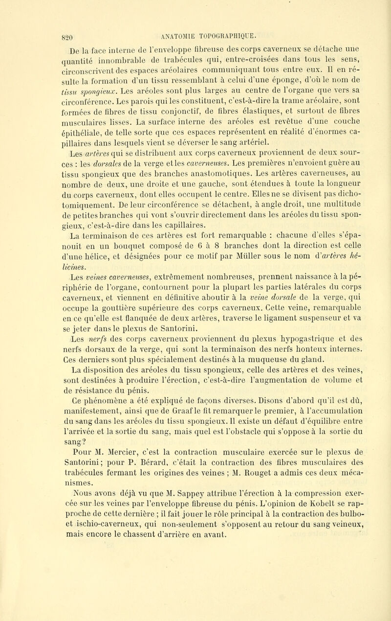 De la face interne de l'enveloppe fibreuse des corps caverneux se détache une quantité innombrable de trabécules qui, entre-croisées dans tous les sens, circonscrivent des espaces aréolaires communiquant tous entre eux. Il en ré- sulte la formation d'un tissu ressemblant à celui d'une éponge, d'où le nom de tissu spongieux. Les aréoles sont plus larges au centre de l'organe que vers sa circonférence. Les parois qui les constituent, c'est-à-dire la trame aréolaire, sont formées de fibres de tissu conjonctif, de fibres élastiques, et surtout de fibres musculaires lisses. La surface interne des aréoles est revêtue d'une couche épithéliale, de telle sorte que ces espaces représentent en réalité d'énormes ca- pillaires dans lesquels vient se déverser le sang artériel. Les arter.es qui se distribuent aux corps caverneux proviennent de deux sour- ces : les dorsales de la verge et les caverneuses. Les premières n'envoient guère au tissu spongieux que des branches anastomotiques. Les artères caverneuses, au nombre de deux, une droite et une gauche, sont étendues à toute la longueur du corps caverneux, dont elles occupent le centre. Elles ne se divisent pas dicho- tomiquement. De leur circonférence se détachent, à angle droit, une multitude de petites branches qui vont s'ouvrir directement dans les aréoles du tissu spon- gieux, c'est-à-dire dans les capillaires. La terminaison de ces artères est fort remarquable : chacune d'elles s'épa- nouit en un bouquet composé de 6 à 8 branches dont la direction est celle d'une hélice, et désignées pour ce motif par Millier sous le nom d'artères hé- licines. Les veines caverneuses, extrêmement nombreuses, prennent naissance à la pé- riphérie de l'organe, contournent pour la plupart les parties latérales du corps caverneux, et viennent en définitive aboutir à la veine dorsale de la verge, qui occupe la gouttière supérieure des corps caverneux. Cette veine, remarquable en ce qu'elle est flanquée de deux artères, traverse le ligament suspenseur et va se jeter dans le plexus de Santorini. Les nerfs des corps caverneux proviennent du plexus hypogastrique et des nerfs dorsaux de la verge, qui sont la terminaison des nerfs honteux internes. Ces derniers sont plus spécialement destinés à la muqueuse du gland. La disposition des aréoles du tissu spongieux, celle des artères et des veines, sont destinées à produire l'érection, c'est-à-dire l'augmentation de volume et de résistance du pénis. Ce phénomène a été expliqué de façons diverses. Disons d'abord qu'il est dû, manifestement, ainsi que de Graaf le fit remarquer le premier, à l'accumulation du sang dans les aréoles du tissu spongieux. Il existe un défaut d'équilibre entre l'arrivée et la sortie du sang, mais quel est l'obstacle qui s'oppose à la sortie du sang? Pour M. Mercier, c'est la contraction musculaire exercée sur le plexus de Santorini; pour P. Bérard, c'était la contraction des fibres musculaires des trabécules fermant les origines des veines ; M. Rouget a admis ces deux méca- nismes. Nous avons déjà vu que M. Sappey attribue l'érection à la compression exer- cée sur les veines par l'enveloppe fibreuse du pénis. L'opinion de Kobelt se rap- proche de cette dernière ; il fait jouer le rôle principal à la contraction des bulbo- et ischio-caverneux, qui non-seulement s'opposent au retour du sang veineux, mais encore le chassent d'arrière en avant.