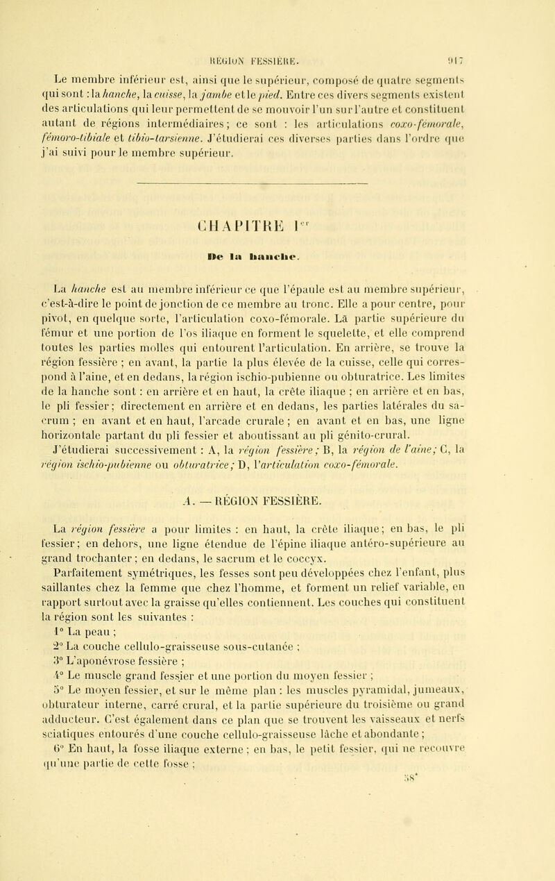 Le membre inférieur est, ainsi que le supérieur, composé de quatre segments qui sont :\ahanche, \a.cuisse, la jambe et\epied. Entre ces divers segments existent des articulations qui leur permettent de se mouvoir l'un sur l'autre et constituent autant de régions intermédiaires; ce sont : les articulations coxo-fémorale, fémoro-tibiale et tibia-tarsienne. J'étudierai ces diverses parties dans l'ordre que j'ai suivi pour le membre supérieur. CHAPITRE Ier ne la lianclie. La hanche est au membre inférieur ce que l'épaule est au membre supérieur, c'est-à-dire le point de jonction de ce membre au tronc. Elle a pour centre, pour pivot, en quelque sorte, l'articulation coxo-fémorale. La partie supérieure du fémur et une portion de l'os iliaque en forment le squelette, et elle comprend toutes les parties molles qui entourent l'articulation. En arrière, se trouve la région fessière ; en avant, la partie la plus élevée de la cuisse, celle qui corres- pond à l'aine, et en dedans, la région ischio-pubienne ou obturatrice. Les limites de la hanche sont : en arrière et en haut, la crête iliaque ; en arrière et en bas, le pli fessier; directement en arrière et en dedans, les parties latérales du sa- crum ; en avant et en haut, l'arcade crurale ; en avant et en bas, une ligne horizontale partant du pli fessier et aboutissant au pli génito-crural. J'étudierai successivement : A, la région fessiè?'e ; B, la région de l'aine; G, la région ischio-pubienne ou obturatrice ;D, V articulation coxo-fémorale. A. —RÉGION FESSIÈRE. La région fessière a pour limites : en haut, la crête iliaque; en bas, le pli fessier; en dehors, une ligne étendue de l'épine iliaque antéro-supérieure au grand trochanter ; en dedans, le sacrum et le coccyx. Parfaitement symétriques, les fesses sont peu développées chez l'enfant, plus saillantes chez la femme que chez l'homme, et forment un relief variable, en rapport surtout avec la graisse qu'elles contiennent. Les couches qui constituent la région sont les suivantes : 1° La peau ; 2° La couche cellulo-graisseuse sous-cutanée ; 3° L'aponévrose fessière ; \° Le muscle grand fessier et une portion du moyen fessier ; 5° Le moyen fessier, et sur le même plan : les muscles pyramidal, jumeaux, obturateur interne, carré crural, et la partie supérieure du troisième ou grand adducteur. C'est également dans ce plan que se trouvent les vaisseaux et nerfs sciatiques entourés d'une couche cellulo-graisseuse lâche et abondante; 6° En haut, la fosse iliaque externe; en bas, le petit fessier, qui ne recouvre qu'une partie de cette fosse ; K8*