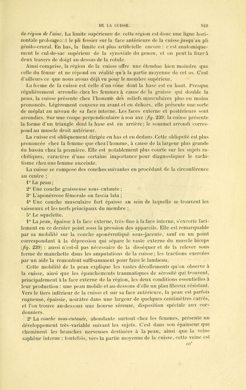 de région de l'aine. La limite supérieure de cette région est donc une ligne hori- zontale prolonge;,:, t le pli fessier sur la face antérieure de la cuisse jusqu'au pli génito-crural. En bas, la limite est plus artificielle encore : c'est anatomique- ment le cul-de-sac supérieur de la synoviale du genou, et on peut la fixera deux travers de doigt au-dessus de la rotule. Ainsi comprise, la région de la cuisse offre une étendue bien moindre que celle du fémur et ne répond en réalité qu'à la partie moyenne de cet os. C'est d'ailleurs ce que nous avons déjà vu pour le membre supérieur. La forme de la cuisse est celle d'un cône dont la base est en haut. Presque régulièrement arrondie chez les femmes à cause de la graisse qui double la peau, la cuisse présente chez l'homme des reliefs musculaires plus ou moins prononcés. Légèrement convexe en avant et en dehors, elle présente une sorte de méplat au niveau de sa face interne. Les faces externe et postérieure sont arrondies. Sur une coupe perpendiculaire à son axe (fig. 239) la cuisse présente la forme d'un triangle dont la base est en arrière; le sommet arrondi corres- pond au muscle droit antérieur. La cuisse est obliquement dirigée en bas et en dedans. Cette obliquité est plus prononcée chez la femme que chez l'homme, à cause de la largeur plus grande du bassin chez la première. Elle est notablement plus courte sur les sujets ra- chitiques, caractère d'une certaine importance pour diagnostiquer le rachi- tisme chez une femme enceinte. La cuisse se compose des couches suivantes en procédant de la circonférence au centre : 1° La peau; 2° Une couche graisseuse sous-cutanée ; 3° L'aponévrose fémorale ou fascia lata ; 4° Une couche musculaire fort épaisse au sein de laquelle se trouvent les vaisseaux et les nerfs principaux du membre ; 5° Le squelette. 1° La. peau, épaisse à la face externe, très-fine à la face interne, s'excorie faci- lement en ce dernier point sous la pression des appareils. Elle est remarquable par sa mobilité sur la couche aponévrotiquè sous-jacente, sauf en un point correspondant à la dépression qui sépare le vaste externe du muscle biceps (fig. 239) : aussi n'est-il pas nécessaire de la disséquer et de la relever sous forme de manchette dans les amputations de la cuisse; les tractions exercées par un aide la remontent suffisamment pour faire le lambeau. Cette mobilité de la peau explique les vastes décollements qu'on observe à la cuisse, ainsi que les épanchements traumatiques de sérosité qui trouvent, principalement à la face externe de la région, les deux conditions essentielles à leur production : une peau mobile et au-dessous d'elle un plan fibreux résistant. Vers le tiers inférieur de la cuisse et sur sa face antérieure, la peau est parfois rugueuse, épaissie, noirâtre dans une largeur de quelques centimètres carrés, et l'on trouve au-dessous une bourse séreuse, disposition spéciale aux cor- donniers. 2° La couche sous-cutanée, abondante surtout chez les femmes, présente un développement très-variable suivant les sujets. C'est dans son épaisseur que cheminent les branches nerveuses destinées à la peau, ainsi que la veine saphène interne ; toutefois, vers la partie moyenne de la cuisse, cette veine est lin*