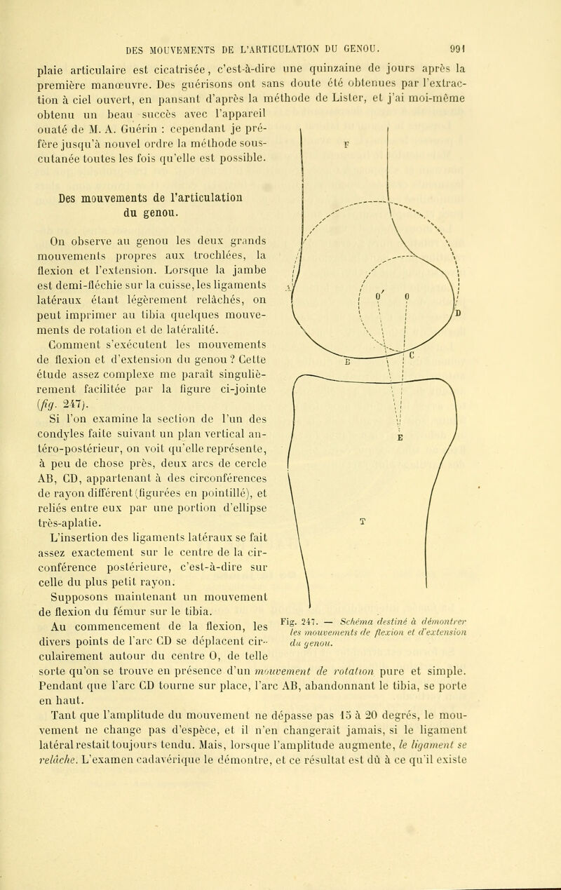 plaie articulaire est cicatrisée, c'est-à-dire une quinzaine de jours après la première manœuvre. Des guérisons ont sans doute été obtenues par l'extrac- tion à ciel ouvert, en pansant d'après la méthode de Lister, et j'ai moi-même obtenu un beau succès avec l'appareil ouaté de M. A. Guérin : cependant je pré fère jusqu'à nouvel ordre la méthode sous- cutanée toutes les fois qu'elle est possible. Des mouvements de l'articulation du genou. On observe au genou les deux grands mouvements propres aux trochlées, la flexion et l'extension. Lorsque la jambe est demi-fléchie sur la cuisse, les ligaments latéraux étant légèrement relâchés, on peut imprimer au tibia quelques mouve- ments de rotation et de latéralité. Gomment s'exécutent les mouvements de flexion et d'extension du genou? Cette étude assez complexe me paraît singuliè- rement facilitée par la figure ci-jointe (fig. 247). Si l'on examine la section de l'un des condyles faite suivant un plan vertical an- téro-postérieur, on voit qu'elle représente, à peu de chose près, deux arcs de cercle AB, CD, appartenant à des circonférences de rayon différent (figurées en pointillé), et reliés entre eux par une portion d'ellipse très-aplatie. L'insertion des ligaments latéraux se fait assez exactement sur le centre de la cir- conférence postérieure, c'est-à-dire sur celle du plus petit rayon. Supposons maintenant un mouvement de flexion du fémur sur le tibia. Au commencement de la flexion, les divers points de l'arc CD se déplacent cir- culairement autour du centre 0, de telle sorte qu'on se trouve en présence d'un mouvement de rotation pure et simple. Pendant que l'arc CD tourne sur place, l'arc AB, abandonnant le tibia, se porte en haut. Tant que l'amplitude du mouvement ne dépasse pas 15 à 20 degrés, le mou- vement ne change pas d'espèce, et il n'en changerait jamais, si le ligament latéral restait toujours tendu. Mais, lorsque l'amplitude augmente, le ligament se relâche. L'examen cadavérique le démontre, et ce résultat est dû à ce qu'il existe Fig. 247. — Schéma desti?ié à démontrer les mouvements de flexion et d'extension du genou.