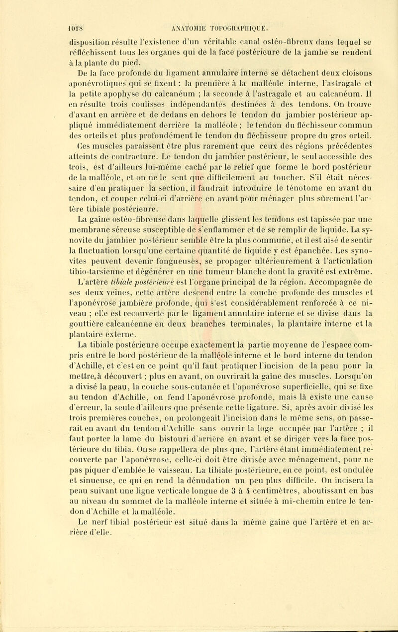 disposition résulte l'existence d'un véritable canal ostéo-fibreux dans lequel se rélléchissent tous les organes qui de la face postérieure de la jambe se rendent à la plante du pied. De la face profonde du ligament annulaire interne se détachent deux cloisons aponévrotiques qui se fixent : la première à la malléole interne, l'astragale et la petite apophyse du calcanéum ; la seconde à l'astragale et au calcanéum. 11 en résulte trois coulisses indépendantes destinées à des tendons. On trouve d'avant en arrière et de dedans en dehors le tendon du jambier postérieur ap- pliqué immédiatement derrière la malléole ; le tendon du fléchisseur commun des orteils et plus profondément le tendon du fléchisseur propre du gros orteil. Ces muscles paraissent être plus rarement que ceux des régions précédentes atteints de contracture. Le tendon du jambier postérieur, le seul accessible des trois, est d'ailleurs lui-même caché par le relief que forme le bord postérieur de la malléole, et on ne le sent que difficilement au toucher. S'il était néces- saire d'en pratiquer la section, il faudrait introduire le ténotome en avant du tendon, et couper celui-ci d'arrière en avant pour ménager plus sûrement l'ar- tère tibiale postérieure. La gaîne ostéo-fibreuse dans laquelle glissent les tendons est tapissée par une membrane séreuse susceptible de s'enflammer et de se remplir de liquide. La sy- novite du jambier postérieur semble être la plus commune, et il est aisé de sentir la fluctuation lorsqu'une certaine quantité de liquide y est épanchée. Les syno- vites peuvent devenir fongueuses, se propager ultérieurement à l'articulation tibio-tarsienne et dégénérer en une tumeur blanche dont la gravité est extrême. L'artère tibiale postérieure est l'organe principal de la région. Accompagnée de ses deux veines, cette artère descend entre la couche profonde des muscles et l'aponévrose jambière profonde, qui s'est considérablement renforcée à ce ni- veau ; elle est recouverte parle ligament annulaire interne et se divise dans la gouttière calcanéenne en deux branches terminales, la plantaire interne et la plantaire externe. La tibiale postérieure occupe exactement la partie moyenne de l'espace com- pris entre le bord postérieur de la malléole interne et le bord interne du tendon d'Achille, et c'est en ce point qu'il faut pratiquer l'incision de la peau pour la mettre.à découvert ; plus en avant, on ouvrirait la gaîne des muscles. Lorsqu'on a divisé la peau, la couche sous-cutanée et l'aponévrose superficielle, qui se fixe au tendon d'Achille, on fend l'aponévrose profonde, mais là existe une cause d'erreur, la seule d'ailleurs que présente cette ligature. Si, après avoir divisé les trois premières couches, on prolongeait l'incision dans le même sens, on passe- rait en avant du tendon d'Achille sans ouvrir la loge occupée par l'artère ; il faut porter la lame du bistouri d'arrière en avant et se diriger vers la face pos- térieure du tibia. On se rappellera de plus que, l'artère étant immédiatement re- couverte par l'aponévrose, celle-ci doit être divisée avec ménagement, pour ne pas piquer d'emblée le vaisseau. La tibiale postérieure, en ce point, est ondulée et sinueuse, ce qui en rend la dénudation un peu plus difficile. On incisera la peau suivant une ligne verticale longue de 3 à 4 centimètres, aboutissant en bas au niveau du sommet de la malléole interne et située à mi-chemin entre le ten- don d'Achille et la malléole. Le nerf tibial postérieur est situé dans la même gaîne que l'artère et en ar- rière d'elle.