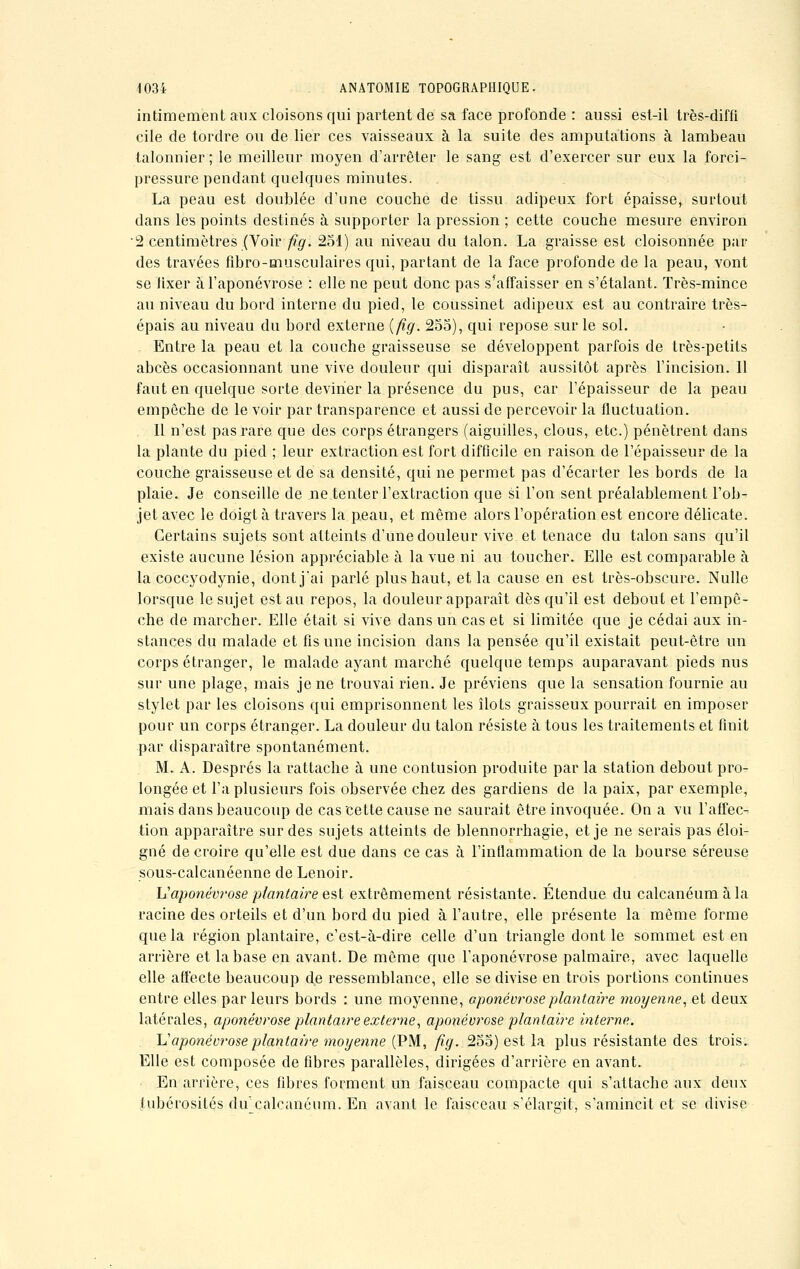 intimement aux cloisons qui partent de sa face profonde : aussi est-il très-diffi cile de tordre ou de lier ces vaisseaux à la suite des amputations à lambeau talonnier ; le meilleur moyen d'arrêter le sang est d'exercer sur eux la forci- pressure pendant quelques minutes. La peau est doublée d'une couche de tissu adipeux fort épaisse, surtout dans les points destinés à supporter la pression ; cette couche mesure environ •2 centimètres (Voir fig. 251) au niveau du talon. La graisse est cloisonnée par des travées fibro-musculaires qui, partant de la face profonde de la peau, vont se fixer a l'aponévrose : elle ne peut donc pas s'affaisser en s'étalant. Très-mince au niveau du bord interne du pied, le coussinet adipeux est au contraire très- épais au niveau du bord externe (fig. 255), qui repose sur le sol. Entre la peau et la couche graisseuse se développent parfois de très-petits abcès occasionnant une vive douleur qui disparaît aussitôt après l'incision. Il faut en quelque sorte deviner la présence du pus, car l'épaisseur de la peau empêche de le voir par transparence et aussi de percevoir la fluctuation. Il n'est pas rare que des corps étrangers (aiguilles, clous, etc.) pénètrent dans la plante du pied ; leur extraction est fort difficile en raison de l'épaisseur de la couche graisseuse et de sa densité, qui ne permet pas d'écarter les bords de la plaie. Je conseille de ne tenter l'extraction que si l'on sent préalablement l'ob- jet avec le doigt à travers la peau, et même alors l'opération est encore délicate. Certains sujets sont atteints d'une douleur vive et tenace du talon sans qu'il existe aucune lésion appréciable à la vue ni au toucher. Elle est comparable à la coccyodynie, dont j'ai parlé plus haut, et la cause en est très-obscure. Nulle lorsque le sujet est au repos, la douleur apparaît dès qu'il est debout et l'empê- che de marcher. Elle était si vive dans un cas et si limitée que je cédai aux in- stances du malade et fis une incision dans la pensée qu'il existait peut-être un corps étranger, le malade ayant marché quelque temps auparavant pieds nus sur une plage, mais je ne trouvai rien. Je préviens que la sensation fournie au stylet par les cloisons qui emprisonnent les îlots graisseux pourrait en imposer pour un corps étranger. La douleur du talon résiste à tous les traitements et finit par disparaître spontanément. M. A. Després la rattache à une contusion produite par la station debout pro- longée et l'a plusieurs fois observée chez des gardiens de la paix, par exemple, mais dans beaucoup de cas cette cause ne saurait être invoquée. On a vu l'affec- tion apparaître sur des sujets atteints de blennorrhagie, et je ne serais pas éloi- gné de croire qu'elle est due dans ce cas à l'inflammation de la bourse séreuse sous-calcanéenne de Lenoir. L'aponévrose plantaire est extrêmement résistante. Etendue du calcanéumàla racine des orteils et d'un bord du pied à l'autre, elle présente la même forme que la région plantaire, c'est-à-dire celle d'un triangle dont le sommet est en arrière et la base en avant. De même que l'aponévrose palmaire, avec laquelle elle affecte beaucoup de ressemblance, elle se divise en trois portions continues entre elles parleurs bords : une moyenne, aponévrose plantaire moyenne, et deux latérales, aponévrose plantaire externe, aponévrose plantaire interne. L'aponévroseplantaire moyenne (PM, fig. 255) est la plus résistante des trois. Elle est composée de fibres parallèles, dirigées d'arrière en avant. En arrière, ces fibres forment un faisceau compacte qui s'attache aux deux (ubérosilés du calcanéum. En avant le faisceau s'élargit, s'amincit et se divise