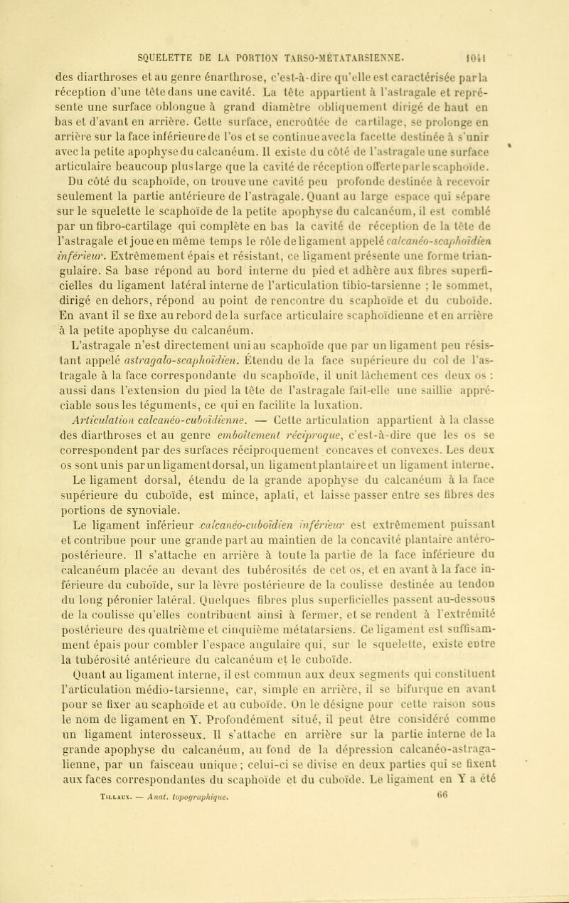 des diarthro'ses et au genre énarLhrose, c'est-à-dire qu'elle est caractérisée parla réception d'une tète dans une cavité. La tête appartient à l'astragale et repré- sente une surface oblongue à grand diamètre obliquement dirigé de haut en bas et d'avant en arrière. Cette surface, encroûtée de cartilage, se prolonge en arrière sur la face inférieure de l'os et se continue avec la facette destinée à s'unir avec la petite apophyse du calcanéum. Il existe du côté de l'astragale une suri articulaire beaucoup plus large que la cavité de réception offerte par le scaphoïde. Du côté du scaphoïde, on trouve une cavité peu profonde destinée à recevoir seulement la partie antérieure de l'astragale. Quant au large espace qui sépare sur le squelette le scaphoïde de la petite apophyse du calcanéum, il est comblé par un fibro-cartilage qui complète en bas la cavité de réception de la tète de l'astragale et joue en même temps le rôle de ligament appelé calcanéo-scaphoîdièn inférieur. Extrêmement épais et résistant, ce ligament présente une forme trian- gulaire. Sa base répond au bord interne du pied et adhère aux fibres superfi- cielles du ligament latéral interne de l'articulation tibio-tarsienne ; le sommet, dirigé en dehors, répond au point de rencontre du scaphoïde et du cuboïde. En avant il se fixe au rebord delà surface articulaire scaphoïdienne et en arrière à la petite apophyse du calcanéum. L'astragale n'est directement uni au scaphoïde que par un ligament peu résis- tant appelé astragalo-scaphoïdien. Étendu de la face supérieure du col de l'as- tragale à la face correspondante du scaphoïde, il unit lâchement ces deux os : aussi dans l'extension du pied la tête de l'astragale fait-elle une saillie appré- ciable sous les téguments, ce qui en facilite la luxation. Articulation calcanéo-cuboïdienne. — Cette articulation appartient à la classe des diarthroses et au genre emboîtement réciproque, c'est-à-dire que les os se correspondent par des surfaces réciproquement concaves et convexes. Les deux os sont unis par un ligament dorsal, un ligament plantaire et un ligament interne. Le ligament dorsal, étendu de la grande apophyse du calcanéum à la face supérieure du cuboïde, est mince, aplati, et laisse passer entre ses fibres des portions de synoviale. Le ligament inférieur calcanéo-cuboidien inférieur est extrêmement puissant et contribue pour une grande part au maintien de la concavité plantaire antéro- postérieure. Il s'attache en arrière à toute la partie de la face inférieure du calcanéum placée au devant des tubérosités de cet os, et en avant à la face in- férieure du cuboïde, sur la lèvre postérieure de la coulisse destinée au tendon du long péronier latéral. Quelques fibres plus superficielles passent au-dessous de la coulisse qu'elles contribuent ainsi à fermer, et se rendent à l'extrémité postérieure des quatrième et cinquième métatarsiens. Ge ligament est suffisam- ment épais pour combler l'espace angulaire qui, sur le squelette, existe eutre la tubérosité antérieure du calcanéum et le cuboïde. Quant au ligament interne, il est commun aux deux segments qui constituent l'articulation médio-tarsienne, car, simple en arrière, il se bifurque en avant pour se fixer au scaphoïde et au cuboïde. On le désigne pour cet te raison sous le nom de ligament en Y. Profondément situé, il peut être considéré comme un ligament interosseux. Il s'attache en arrière sur la partie interne de la grande apophyse du calcanéum, au fond de la dépression calcanéo-astraga- lienne, par un faisceau unique ; celui-ci se divise en deux parties qui se fixent aux faces correspondantes du scaphoïde et du cuboïde. Le ligament en Y a été Tillacx. — Anat. topographique. M