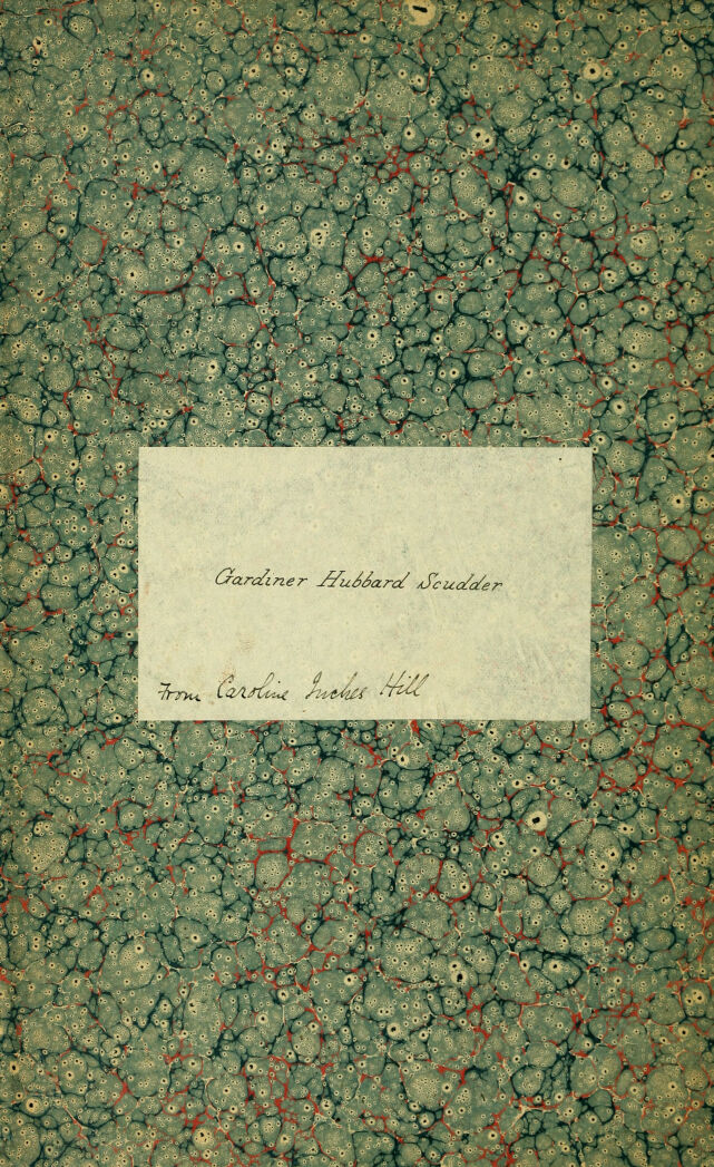 digitised image 2