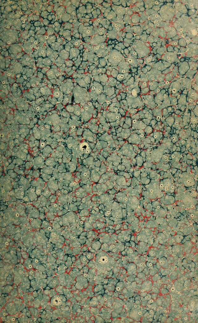 digitised image 3