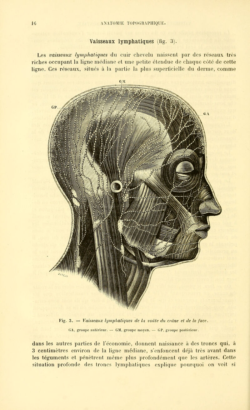 Vaisseaux lymphatiques (fig. 3). Les vaisseaux lymphatiques du cuir chevelu naissent par des réseaux très riches occupant la ligne médiane et une petite étendue de chaque cùlé de cette ligne. Ces réseaux, situés à la partie la plus superlîcielle du derme, comme O.Jtt Fig. 3. — Vaisseaux lymphatiques de la voûte du crâne et de la face. GA, groupe antérieur. — GM, groupe moyen. — GP, groupe postérieur. dans les autres parties de l'économie, donnent naissance à des troncs qui, à 3 centimètres environ de la ligne médiane, s'enfoncent déjà très avant dans les téguments et pénètrent même plus profondément que les artères. Cette situation profonde des troncs lymphatiques explique pourquoi on voit si