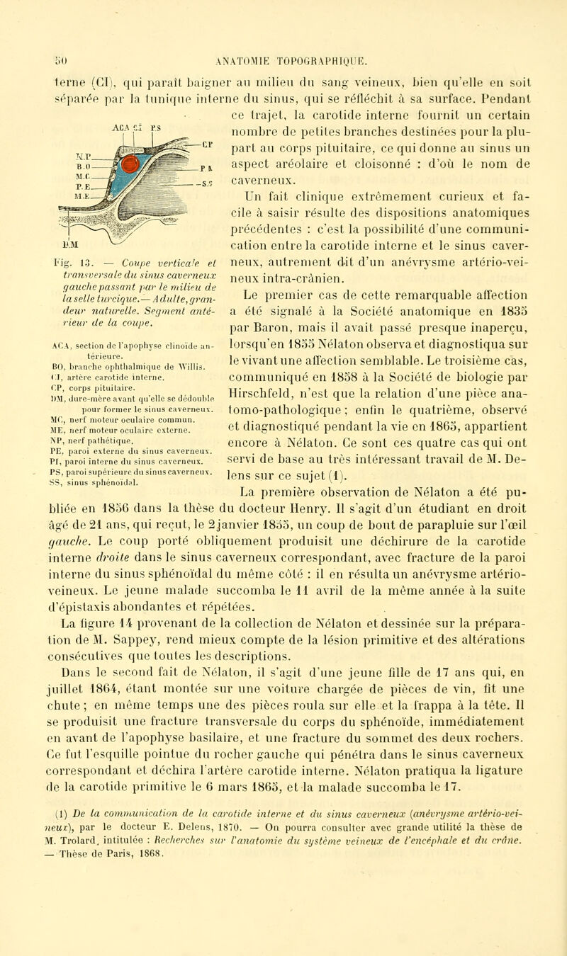 ACA terne (CI), qui paraît baigner an milieu du sang veineux, bien qu'elle en suit séparée par la tunique interne du sinus, qui se réfléchit à sa surface. Pendant ce trajet, la carotide interne fournit un certain nombre de petites branches destinées pour la plu- part au corps pituitaire, ce qui donne au sinus un aspect aréolaire et cloisonné : d'où le nom de caverneux. Un fait clinique extrêmement curieux et fa- cile à saisir résulte des dispositions anatomiques précédentes : c'est la possibilité d'une communi- cation entre la carotide interne et le sinus caver- neux, autrement dit d'un anévrysme artério-vei- neux intra-crânien. Le premier cas de cette remarquable affection a été signalé à la Société anatomique en 1835 par Baron, mais il avait passé presque inaperçu, lorsqu'en 1835 Nélaton observa et diagnostiqua sur le vivant une affection semblable. Le troisième cas, communiqué en 1838 à la Société de biologie par Hirschfeld, n'est que la relation d'une pièce ana- tomo-pathologique ; enlîn le quatrième, observé et diagnostiqué pendant la vie en 1863, appartient encore à Nélaton. Ce sont ces quatre cas qui ont servi de base au très intéressant travail de M. De- lens sur ce sujet (1). La première observation de Nélaton a été pu- bliée en 1856 dans la thèse du docteur Henry. Il s'agit d'un étudiant en droit âgé de 21 ans, qui reçut, le 2 janvier 1853, un coup de bout de parapluie sur l'œil gauche. Le coup porté obliquement produisit une déchirure de la carotide interne droite dans le sinus caverneux correspondant, avec fracture de la paroi interne du sinus sphénoïdal du même côté : il en résulta un anévrysme artério- veineux. Le jeune malade succomba le 11 avril de la même année à la suite d'épistaxis abondantes et répétées. La ligure 14 provenant de la collection de Nélaton et dessinée sur la prépara- lion de M. Sappey, rend mieux compte de la lésion primitive et des altérations consécutives que toutes les descriptions. Dans le second fait de Nélaton, il s'agit d'une jeune fille de 17 ans qui, en juillet 1864, étant montée sur une voiture chargée de pièces de vin, fit une chute ; en même temps une des pièces roula sur elle et la frappa à la tête. Il se produisit une fracture transversale du corps du sphénoïde, immédiatement en avant de l'apophyse basilaire, et une fracture du sommet des deux rochers. Ce fut l'esquille pointue du rocher gauche qui pénétra dans le sinus caverneux correspondant et déchira l'artère carotide interne. Nélaton pratiqua la ligature de la carotide primitive le 6 mars 1863, et la malade succomba le 17. — Coupe verticale, el transversale du sinus caverneux gauche passant pur le milieu de la selle turcique.— A dulte, gran- deur naturelle. Segment anté- rieur de la coupe. ACA, section do l'apophyse clinoïde an- térieure. BO, branche ophthalmique de 'Willis. r.I, artère carotide interne. CP, corps pituitaire. DM, dure-mère avant qu'elle se dédouble pour former le sinus caverneux. MC, nerf moteur oculaire commun. ME, nerf moteur oculaire externe. ^P, nerf pathétique. PE, paroi externe du sinus caverneux. PI, paroi interne du sinus caverneux. PS, paroi supérieure du sinus caverneux. SS, sinus sphénoïdal. (1) De la communication de la carotide interne et du si?ius caverneux [anévrysme artério-vei- neui), par le docteur E. Deleus, 1870. — On pourra consulter avec grande utilité la thèse de M. Trolard, intitulée : Recherches sur Vanatomic du système veineux de l'encéphale et du crchie. — Thèse de Paris, 1868.