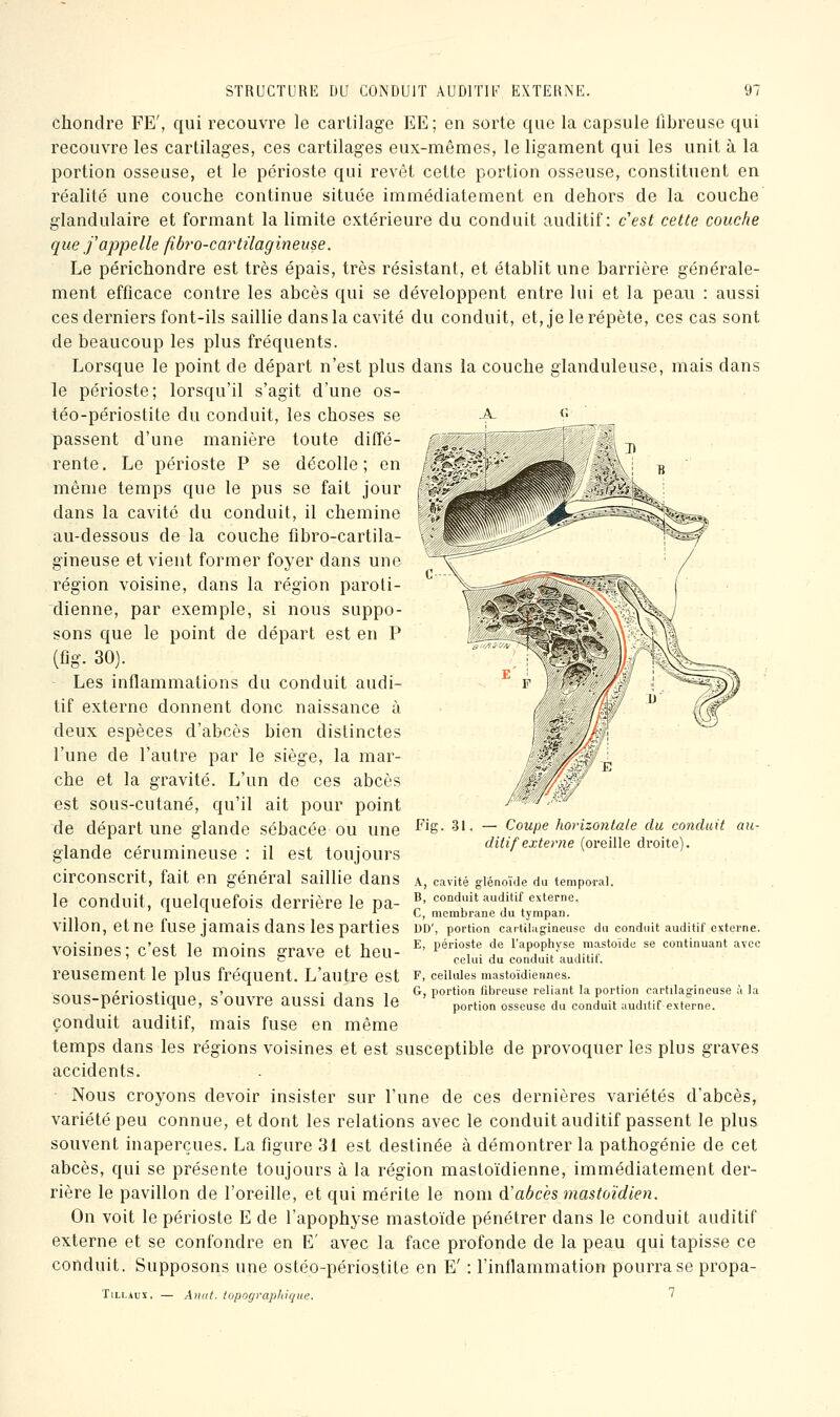 chondre FE', qui recouvre le cartilage KE; en sorte que la capsule fibreuse qui recouvre les cartilages, ces cartilages eux-mêmes, le ligament qui les unit à la portion osseuse, et le périoste qui revêt cette portion osseuse, constituent en réalité une couche continue située immédiatement en dehors de la couche glandulaire et formant la limite extérieure du conduit auditif: c'est cette couche que j'appelle fih'o-cartilagineuse. Le périchondre est très épais, très résistant, et établit une barrière générale- ment efficace contre les abcès qui se développent entre lui et la peau : aussi ces derniers font-ils saillie dans la cavité du conduit, et, je le répète, ces cas sont de beaucoup les plus fréquents. Lorsque le point de départ n'est plus dans la couche glanduleuse, mais dans le périoste; lorsqu'il s'agit d'une os- téo-périostite du conduit, les choses se passent d'une manière toute diffé- rente. Le périoste P se décolle; en même temps que le pus se fait jour dans la cavité du conduit, il chemine au-dessous de la couche fibro-cartila- gineuse et vient former foyer dans une région voisine, dans la région paroti- dienne, par exemple, si nous suppo- sons que le point de départ est en P (fîg. 30). Les inflammations du conduit audi- tif externe donnent donc naissance à deux espèces d'abcès bien distinctes l'une de l'autre par le siège, la mar- che et la gravité. L'un de ces abcès est sous-cutané, qu'il ait pour point de départ une glande sébacée ou une ^'ë- ^^- - ^«/'^ horizontale du conduit au- 11, . -. , , • ditif externe (oreille droite). glande cerumineuse : il est toujours circonscrit, fait en général saillie dans a, cavité giénoïde du temporal. le conduit, quelquefois derrière le pa- ^' conduit auditif externe. ^ C, membrane du tympan. villon, et ne fuse jamais dans les parties UD', portion cartilagineuse du conduit auditif externe. voisines; c'est le moins grave et heu- ^' i^^tud du l2lt^{ll^^^'^'  '* ' reusement le plus fréquent. L'autre est f- ceiiuies mastoïdiennes. „„„'•,. , . , , G, portion fibreuse reliant la portion cartilagineuse à la SOUS-periOStique, s ouvre aussi dans le portion osseuse du conduit auditif externe. conduit auditif, mais fuse en même temps dans les régions voisines et est susceptible de provoquer les plus graves accidents. Nous croyons devoir insister sur l'une de ces dernières variétés d'abcès, variété peu connue, et dont les relations avec le conduit auditif passent le plus souvent inaperçues. La figure 31 est destinée à démontrer la pathogénie de cet abcès, qui se présente toujours à la région mastoïdienne, immédiatement der- rière le pavillon de l'oreille, et qui mérite le nom d'abcès mastcjidien. On voit le périoste E de l'apophyse mastoïde pénétrer dans le conduit auditif externe et se confondre en E' avec la face profonde de la peau qui tapisse ce conduit. Supposons une ostéo-périostite en E' : l'inflammation pourra se propa-