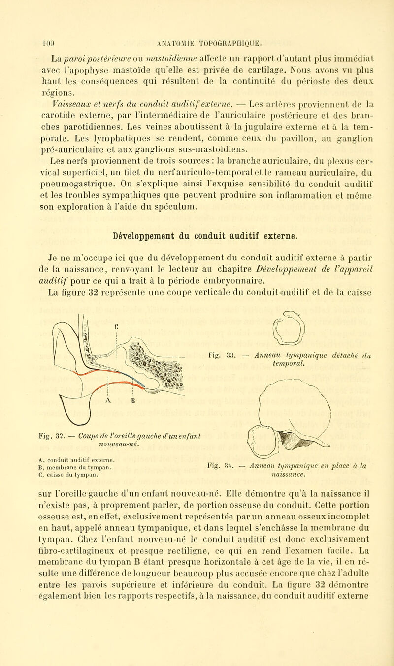 La paroi postérieure ou mastoïdienne affecte un rapport d'autant plus immédiat avec l'apophyse mastoïde qu'elle est privée de cartilage. Nous avons vu plus haut les conséquences qui résultent do la continuité du périoste des deux régions. Vaisseaux et nerfs du conduit auditif externe. — Les artères proviennent de la carotide externe, par l'intermédiaire de l'auriculaire postérieure et des bran- ches parotidiennes. Les veines aboutissent à la jugulaire externe et à la tem- porale. Les lymphatiques se rendent, comme ceux du pavillon, au ganglion pré-auriculaire et aux ganglions sus-mastoïdiens. Les nerfs proviennent de trois sources : la branche auriculaire, du plexus cer- vical superficiel, un filet du nerfauriculo-temporalet le rameau auriculaire, du pneumogastrique. On s'explique ainsi l'exquise sensibilité du conduit auditif et les troubles sympathiques que peuvent produire son inflammation et même son exploration à l'aide du spéculum. Développement du conduit auditif externe. Je ne m'occupe ici que du développement du conduit auditif externe à partir de la naissance, renvoyant le lecteur au chapitre Développement de l'appareil auditif pour ce qui a trait à la période embryonnaire. La figure 32 représente une coupe verticale du conduit auditif et de la caisse Fig. 32. Fig. 33. Anneau tympanique détaché du temporal. Coupe de l'oreille gauc/ie d'unenfant nouveau-né. A, conduit auditif externe. B, membrane du tympan. C, caisse du tympan. Fig. 34. — AîDieau tympanique en place à la naissance. sur l'oreille gauche d'un enfant nouveau-né. Elle démontre qu'à la naissance il n'existe pas, à proprement parler, de portion osseuse du conduit. Cette portion osseuse est, en effet, exclusivement représentée par un anneau osseux incomplet en haut, appelé anneau tympanique, et dans lequel s'enchâsse la membrane du tympan. Chez l'enfant nouveau-né le conduit auditif est donc exclusivement fibro-cartilagineux et presque rectiligne, ce qui en rend l'examen facile. La membrane du tympan B étant presque horizontale à cet âge de la vie, il en ré- sulte une différence de longueur beaucoup plus accusée encore que chez l'adulte entre les parois supérieure et inférieure du conduit. La figure 32 démontre également bien les rapports respectifs, à la naissance, du conduit auditif externe