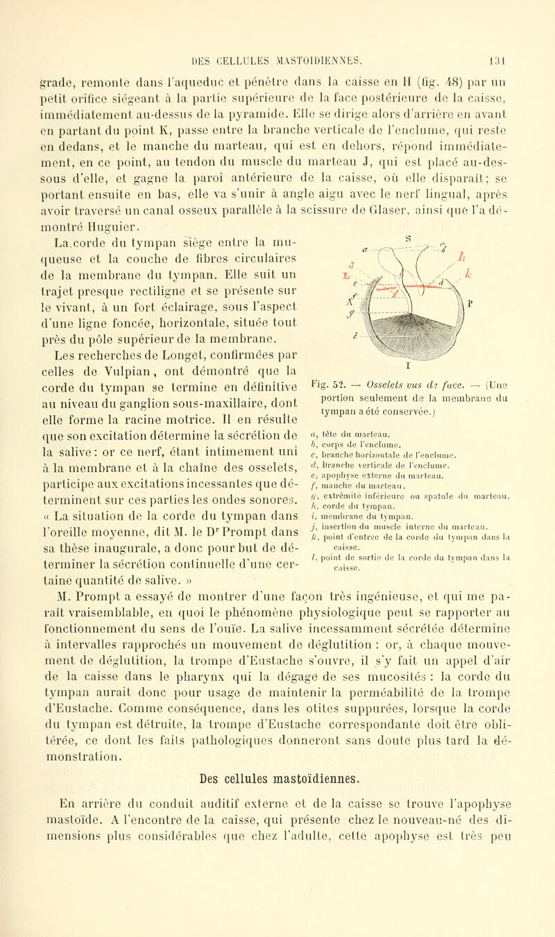 grade, remonte dans l'aqueduc et pénètre dans la caisse en II (flg. 48) par un petit orifice siégeant à la partie supérieure de la face postérieure de la caisse, immédiatement au-dessus de la pyramide. Kilo se dirige alors d'arrière en avant en partant du point K, passe entre la branche verticale de l'enclume, qui reste en dedans, et le manche du marteau, qui est en dehors, répond immédiate- ment, en ce point, au tendon du muscle du marteau J, qui est placé au-des- sous d'elle, et gagne la paroi antérieure de la caisse, où elle disparaît; se portant ensuite en bas, elle va s'unir à angle aigu avec le nerf lingual, après avoir traversé un canal osseux parallèle à la scissure de Glascr, ainsi que l'a dé- montré Huguier. La.corde du tympan siège entre la mu- queuse et la couche de fibres circulaires de la membrane du tympan. Elle suit un trajet presque rectiligne et se présente sur le vivant, à un fort éclairage, sous l'aspect d'une ligne foncée, horizontale, située tout près du pôle supérieur de la membrane. Les recherches de Longet, confirmées par celles de Vulpian, ont démontré que la corde du tympan se termine en définitive au niveau du ganglion sous-maxillaire, dont elle forme la racine motrice. Il en résulte que son excitation détermine la sécrétion de la salive : or ce nerf, étant intimement uni à la membrane et à la chaîne des osselets, participe aux excitations incessantes que dé- terminent sur ces parties les ondes sonores. , ^ , , ' h, corde du tympan. « La situation de la corde du tympan dans «, memiji-ane du tympan. 1) -Il j-i \i 1 T-vr T-i .„ t 1 ?) insertion du muscle iaterne du marteau. 1 oredle moyenne, dit M. le D'Prompt dans ;. ^^.^, ^,^^,^,,^ ^,^ j^ ^^^.^^ ^^^ ^^^^^^^ j,^„^ ^^ sa thèse inaugurale, a donc pour but de dé- caisse. , , ,,. ,• iT 11 l- point de sortie de la corde du tympan dans la terminer la sécrétion continuelle d une cer- caisse. taine quantité de salive. » M. Prompt a essayé de montrer d'une façon très ingénieuse, et qui me pa- raît vraisemblable, en quoi le phénomène physiologique peut se rapporter au fonctionnement du sens de l'ouïe. La salive incessamment sécrétée détermine à intervalles rapprochés un mouvement de déglutition : or, à chaque mouve- ment de déglutition, la trompe d'Eustache s'ouvre, il s'y fait un appel d'air de la caisse dans le pharynx qui la dégage de ses mucosités : la corde du tympan aurait donc pour usage de maintenir la perméabilité de la trompe d'Eustache. Gomme conséquence, dans les otites suppurées, lorsque la corde du tympan est détruite, la trompe d'Eustache correspondante doit être obli- térée, ce dont les faits pathologiques donneront sans doute plus tard la dé- monstration. Des cellules mastoïdiennes. En arrière du conduit auditif externe et de la caisse se trouve l'apophyse mastoïde. A rencontre de la caisse, qui présente chez le nouveau-né des di- mensions plus considérables que chez l'adulte, cette apophyse est très peu Fig. 52. — Osselets vus th face. -^ (Une portion seulement ds' la membrane du tympan a été conservée.] ((, tète du marteau. h, corps de l'enclume. e, branche horizontale de l'enchimo. rf, branche verticale de l'onclumc. e, apophyse etterne du marteau. f, manche du marteau. //, extrémité inférieure ou spatule du marteau.