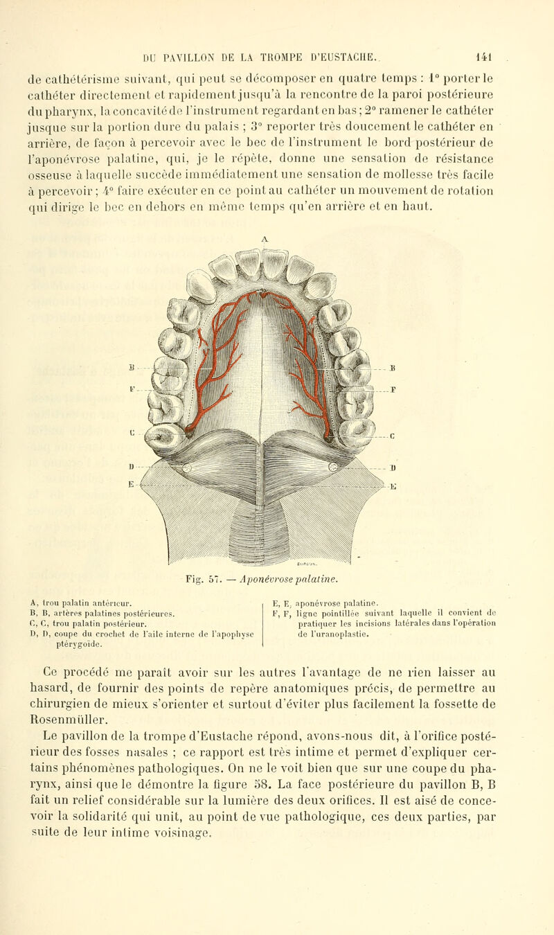 de cathétérisme suivant, qui peut se décomposer en quatre temps : 1° porterie cathéter directement et rapidement jusciu'à la rencontre de la paroi postérieure du pharynx, la concavité de l'instrument regardant en bas; 2° ramener le cathéter jusque sur la portion dure du palais ; 3 reporter très doucement le cathéter en arrière, de façon à percevoir avec le bec de l'instrument le bord postérieur de l'aponévrose palatine, qui, je le répète, donne une sensation de résistance osseuse à laquelle succède immédiatement une sensation de mollesse très facile à percevoir ; 4° faire exécuter en ce point au cathéter un mouvement de rotation qui dirige le bec en dehors en même temps qu'en arrière et en haut. Fig. 57. —Aponévrose palatine. A, trou palatin antérieur. B, B, artères palatines postérieures. C, C, trou palatin postérieur. D, D, coupe du crocliet de l'aile interne de l'apophyse ptérygoïde. E, E; aponévrose palatine. F, F, ligne pointillée suivant laquelle il convient de pratiquer les incisions latérales dans Topération de Furanoplastie. Ce procédé me paraît avoir sur les autres l'avantage de ne rien laisser au hasard, de fournir des points de repère anatomiques précis, de permettre au chirurgien de mieux s'orienter et surtout d'éviter plus facilement la fossette de Rosenmiiller. Le pavillon de la trompe d'Eustache répond, avons-nous dit, à l'oriûce posté- rieur des fosses nasales ; ce rapport est très intime et permet d'expliquer cer- tains phénomènes pathologiques. On ne le voit bien que sur une coupe du pha- rynx, ainsi que le démontre la figure 58. La face postérieure du pavillon B, B fait un relief considérable sur la lumière des deux orifices. Il est aisé de conce- voir la solidarité qui unit, au point de vue pathologique, ces deux parties, par suite de leur intime voisinaRC.