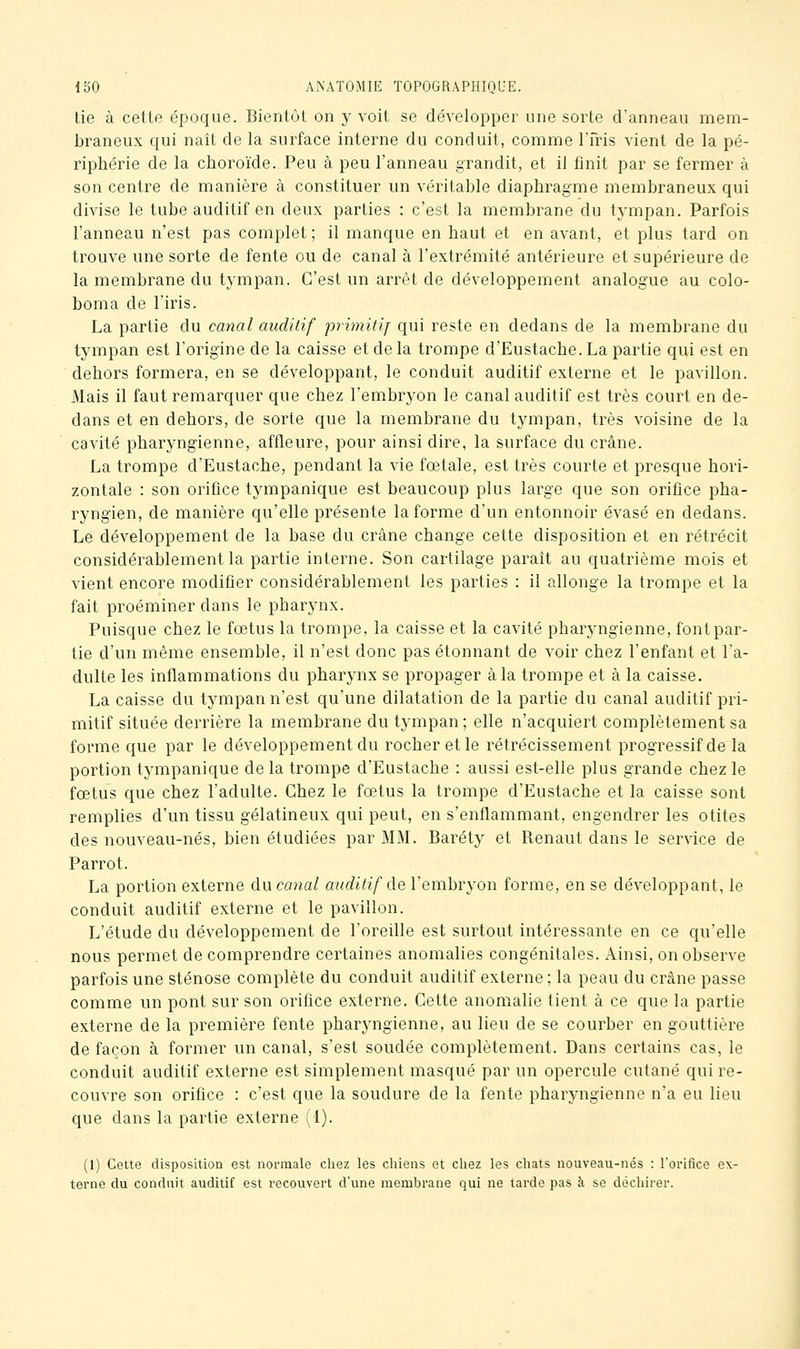 tie à cette époque. Bientôt on y voit se développer une sorte d'anneau mem- braneux qui naît de la surface interne du conduit, comme ITris vient de la pé- riphérie de la choroïde.. Peu à peu l'anneau grandit, et il finit par se fermer à son centre de manière à constituer un véritable diaphragme membraneux qui divise le tube auditif en deux parties : c'est la membrane du tj-mpan. Parfois l'anneau n'est pas complet ; il manque en haut et en avant, et plus tard on trouve une sorte de fente ou de canal à l'extrémité antérieure et supérieure de la membrane du tympan. C'est un arrêt de développement analogue au colo- boma de l'iris. La partie du canal auditif primitif qui reste en dedans de la membrane du tympan est l'origine de la caisse et de la trompe d'Eustache. La partie qui est en dehors formera, en se développant, le conduit auditif externe et le pavillon. Mais il faut remarquer que chez l'embryon le canal auditif est très court en de- dans et en dehors, de sorte que la membrane du tympan, très voisine de la cavité pharyngienne, affleure, pour ainsi dire, la surface du crâne. La trompe d'Eustache, pendant la vie fœtale, est très courte et presque hori- zontale : son orifice tjaupanique est beaucoup plus large que son orifice pha- ryngien, de manière qu'elle présente la forme d'un entonnoir évasé en dedans. Le développement de la base du crâne change cette disposition et en rétrécit considérablement la partie interne. Son cartilage paraît au quatrième mois et vient encore modifier considérablement les parties : il allonge la trompe et la fait proéminer dans le pharynx. Puisque chez le fœtus la trompe, la caisse et la cavité pharyngienne, font par- tie d'un même ensemble, il n'est donc pas étonnant de voir chez l'enfant et l'a- dulte les inflammations du pharynx se propager à la trompe et à la caisse. La caisse du tympan n'est qu'une dilatation de la partie du canal auditif pri- mitif située derrière la membrane du tympan ; elle n'acquiert complètement sa forme que par le développement du rocher et le rétrécissement progressif de la portion tympanique delà trompe d'Eustache : aussi est-elle plus grande chez le fœtus que chez l'adulte. Chez le fœtus la trompe d'Eustache et la caisse sont remplies d'un tissu gélatineux qui peut, en s'enflammant, engendrer les otites des nouveau-nés, bien étudiées par MM. Baréty et Renaut dans le service de Parrot. La portion externe &\xcanal auditif de l'embryon forme, en se développant, le conduit auditif externe et le pavillon. L'étude du développement de l'oreille est surtout intéressante en ce qu'elle nous permet de comprendre certaines anomalies congénitales. Ainsi, on observe parfois une sténose complète du conduit auditif externe ; la peau du crâne passe comme un pont sur son orifice externe. Cette anomalie tient à ce que la partie externe de la première fente pharyngienne, au lieu de se courber en gouttière de façon à former un canal, s'est soudée complètement. Dans certains cas, le conduit auditif externe est simplement masqué par un opercule cutané qui re- couvre son orifice : c'est que la soudure de la fente pharyngienne n'a eu lieu que dans la partie externe (1). (1) Cette disposition est normale chez les chiens et chez les chats nouveau-nés : l'orifice ex- terne du conduit auditif est recouvert d'une membrane qui ne tarde pas à se déchirer.