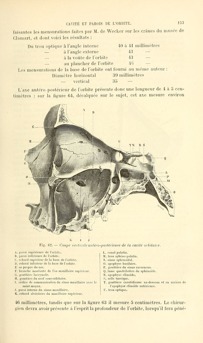 faisantes les mensurations faites par M. de Wecker sur les crânes du musée de Clamart, et dont voici les résultats : Du trou optique à l'angle interne — à l'angle externe — à la voûte de l'orbite — au plancher de l'orbite Les mensurations de la base de l'orbite ont fourni au même auteur : Diamètre horizontal 39 millimètres — vertical 3o — L'axe antéro postérieur de l'orbite présente donc une longueur de 4 à S cen- timètres : sur la figure 64, décalquée sur le sujet, cet axe mesure environ 40 à 41 millimètres 43 — 43 — 4G — Fig. 62. — Coupe verticale antéro-postêrieure de la cavité orbitaire. A, paroi supérieure de l'orbite. B, paroi inférieure de l'orbite. C, rebord supérieur de la base de l'orbite. D, rebord inférieur de la base de l'orbite. E' os propre du nez. F, branche montante de l'os maxillaire supérieur. G, gouttière lacrymale. H, gouttière du nerf sous-orbitaire. I, orifice de communication du sinus maxillaire avec le méat moyen. J, paroi interne du sinus maxillaire. K, rebord alvéolaire du maxillaire supérieur. L, canal palatin. M, trou sphéno-palatin. N, sinus sphénoïdal. 0, apophyse basilaire. P, gouttière du sinus caverneux. Q, lame quadrilatère du sphénoïde. R, apophyse clinoïde. S, selle turcique. T. gouttière carotidienne au-dessous et en arrière de l'apophyse clinoide antérieure. U, trou optique. 46 millimètres, tandis que sur la figure 63 il mesure 5 centimètres. Le chirur- gien devra avoir présente à l'esprit la profondeur de l'orbite, lorsqu'il fera péné-