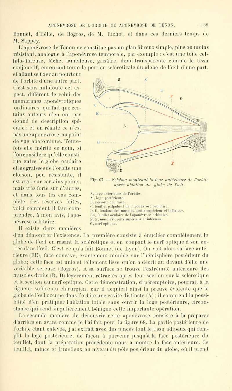 Fig. G7. Schéma montrant la loge antérieure de l'orbite après ablatiori du globe de l'œil. Bonnet, d'Hélic, de Bogros, de M. lUchct, cl dans ces derniers temps de M. Sappe3^ L'aponévrose de Tenon ne constitue pas un plan fibreux simple, plus ou moins résistant, analogue à l'aponévrose temporale, par exemple : c'est une toile cel- lulo-fibreuse, lâche, lamelleuse, grisâtre, demi-transparente comme le tissu conjonctif, entourant toute la portion scléroticale du globe de l'œil d'une part, et allant se fixer au pourtour de l'orbite d'une autre part. i,\ii>^ ^ ^ C'est sans nul doute cet as- pect, difTérent de celui des membranes aponévrotiques ordinaires, qui fait que cer- tains auteurs n'en ont pas donné de description spé- ciale ; et en réalité ce n'est pas une aponévrose, au point de vue anatomique. Toute- fois elle mérite ce nom, si l'on considère qu'elle consti- tue entre le globe oculaire etles graisses de l'orbite une cloison, peu résistante, il est vrai, sur certains points, mais très forte sur d'autres, et dans tous les cas com- plète. Ces réserves faites, voici comment il faut com- prendre, à mon avis, l'apo- névrose orbitaire. Il existe deux manières d'en démontrer l'existence. La première consiste à énucléer complètement le globe de l'œil en rasant la sclérotique et en coupant le nerf optique à son en- trée dans l'œil. C'est ce qu'a fait Bonnet (de Lyon). On voit alors sa face anté- rieure (EE), face concave, exactement moulée sur l'hémisphère postérieur du globe ; cette face est unie et tellement lisse qu'on a décrit au devant d'elle une véritable séreuse (Bogros). A sa surface se trouve l'extrémité antérieure des muscles droits (D, D) légèrement rétractés après leur section sur la sclérotique et la section du nerf optique. Cette démonstration, si péremptoire, pourrait à la rigueur suffire au chirurgien, car il acquiert ainsi la preuve évidente que le globe de l'œil occupe dans l'orbite une cavité distincte (A) ; il comprend la possi- bilité d'en pratiquer l'ablation totale sans ouvrir la loge postérieure, circon- stance qui rend singulièrement bénigne cette importante opération. La seconde manière de découvrir celte aponévrose consiste à la préparer d'arrière en avant comme je l'ai fait pour la figure 68. La partie postérieure de l'orbite étant enlevée, j'ai extrait avec des pinces tout le tissu adipeux qui rem- plit la loge postérieure, de façon à parvenir jusqu'à la face postérieure du feuillet, dont la préparation précédente nous a montre la face antérieure. Ce feuillet, mince et lamelleux au niveau du pôle postérieur du globe, où il prend A, loge antérieure de Torbite. A', loge postérieure. B, périoste orbitaire. C, feuillet palpébral de l'aponévrose orbitaire. D, D, tendons des muscles droits supérieur et inférieur. EE, feuillet oculaire de l'aponévrose orbitaire, F, F, muscles droits supérieur et inférieur. G, nerf optique.