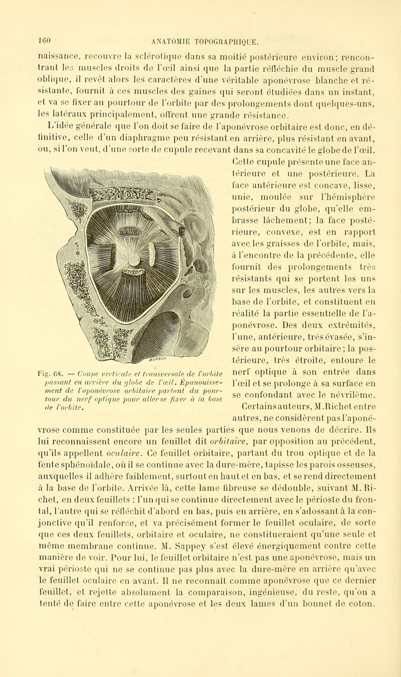 naissance, recouvra la sclérotique dans sa moitié postérieure environ; rencon- trant les muscles droits de l'œil ainsi que la partie réfléchie du muscle grand oblique, il revêt alors les caractères d'une véritable aponévrose blanche et ré- sistante, fournit à ces muscles des gaines qui seront étudiées dans un instant, et va se fixer au pourtour de l'orbite par des prolongements dont quelques-uns, les latéraux principalement, offrent une grande résistance. L'idée générale que l'on doit se faire de l'aponévrose orbitaire est donc, en dé- finitive, celle d'un diaphragme peu résistant en arrière, plus résistant en avant, ou, si l'on veut, d'une sorte de cupule recevant dans sa concavité le globe de l'œil. Cette cupule présente une face an- térieure et une postérieure. La face antérieure est concave, lisse, unie, moulée sur l'hémisphère postérieur du globe, qu'elle em- brasse lâchement; la face posté- rieure, convexe, est en rapport avec les graisses de l'orbite, mais, à rencontre de la précédente, elle fournit des prolongements très résistants qui se portent les uns sur les muscles, les autres vers la base de l'orbite, et constituent en réalité la partie essentielle de l'a- ponévrose. Des deux extrémités, l'une, antérieure, très évasée, s'in- sère au pourtour orbitaire ; la pos- térieure, très étroite, entoure le nerf optique à son entrée dans l'œil et se prolonge à sa surface en se confondant avec le névrilème. Certains auteurs, M.Richet entre autres, ne considèrent pas l'aponé- vrose comme constituée par les seules parties que nous venons de décrire. Ils lui reconnaissent encore un feuillet dit orbitaire, par opposition au précédent, qu'ils appellent oculaire. Ce feuillet orbitaire, partant du trou optique et de la fente sphénoïdale, où il se continue avec la dure-mère, tapisse les parois osseuses, auxquelles il adhère faiblement, surtout en haut et en bas, et se rend directement à la base de l'orbite. Arrivée là, cette lame fibreuse se dédouble, suivant M. Ri- chet, en deux feuillets : l'un qui se continue directement avec le périoste du fron- tal, l'autre qui se réfléchit d'abord en bas, puis en arrière, en s'adossant à la con- jonctive qu'il renforce, et va précisément former le feuillet oculaire, de sorte que ces deux feuillets, orbitaire et oculaire, ne constitueraient qu'une seule et même membrane continue. M. Sappey s'est élevé énergiquement contre cette manière de voir. Pour lui, le feuillet orbitaire n'est pas une aponévrose, mais un vrai périoste qui ne se continue pas plus avec la dure-mère en arrière qu'avec le feuillet oculaire en avant. Il ne reconnaît comme aponévrose que ce dernier feuillet, et rejette absolument la comparaison, ingénieuse, du reste, qu'on a tenté de faire entre cette aponévrose et les deux lames d'un bonnet de coton. Fig. GS. — Coupe vertkai>i et ti'ansversale de Corinte passant eii arrière du globe de l'œil. Epanouisse- ment de Caponévrose orbitaire partant du pour- tour du nerf optique pour aller se fixer à la base de l'orbite.