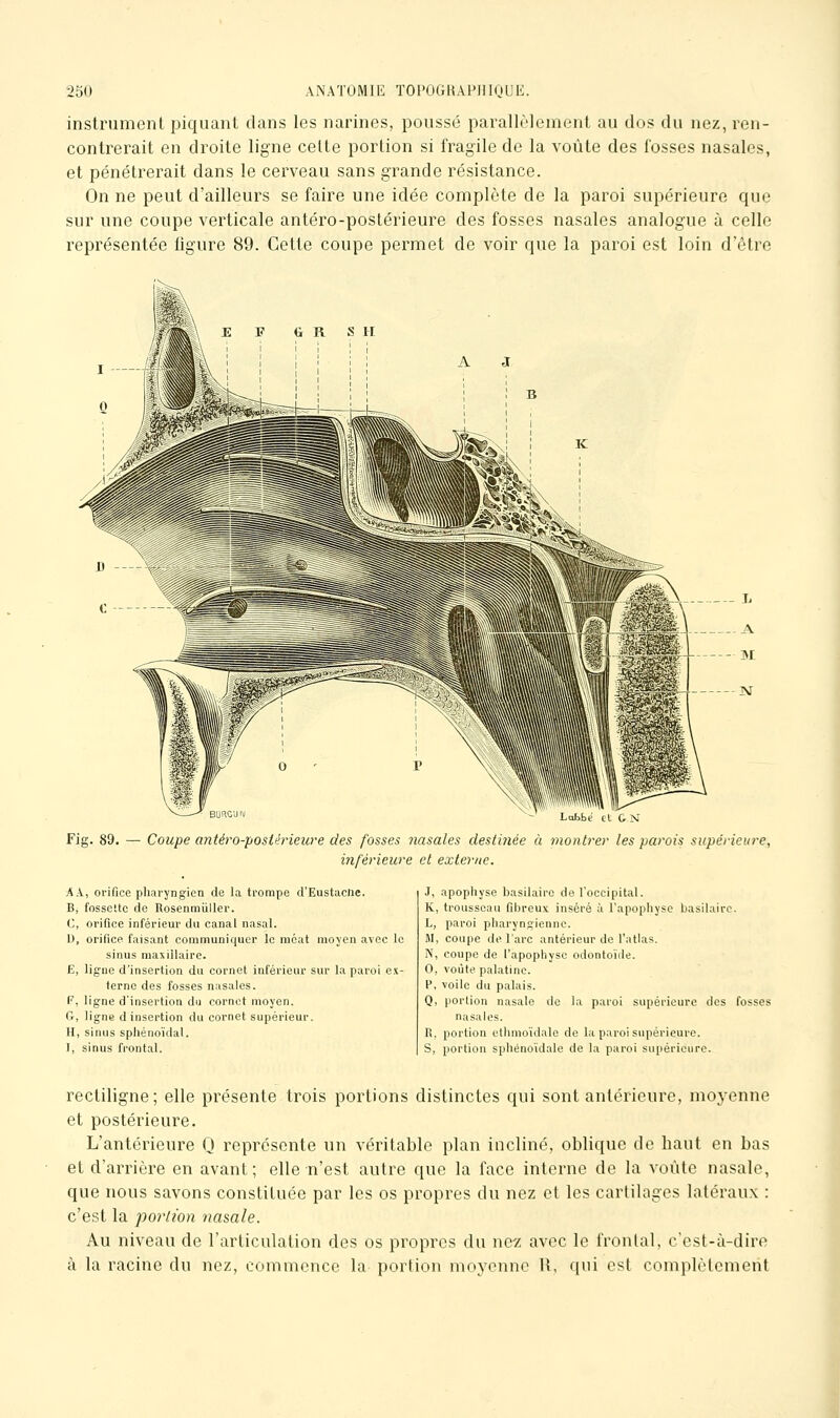 instrument piquant dans les narines, poussé parallèlement au dos du nez, ren- contrerait en droite ligne celte portion si fragile de la voûte des fosses nasales, et pénétrerait dans le cerveau sans grande résistance. On ne peut d'ailleurs se faire une idée complète de la paroi supérieure que sur une coupe verticale antéro-postérieure des fosses nasales analogue à celle représentée figure 89. Cette coupe permet de voir que la paroi est loin d'être Lulibi [ION. Fig. 89. — Coupe antéro-postérieure des fosses nasales destinée à montrer les parois supérieure, inférieure et externe. A A, oi-ifice pharyngien de la trompe d'Eustacne. B, fossette de Rosenmiiller. C, orifice inférieur du canal nasal. U, orifice faisant communiquer le méat moyen avec le sinus maxillaire. E, ligne d'insertion du cornet inférieur sur la paroi ex- terne des fosses nasales. F, ligne d'insertion du cornet moyen. G, ligne d insertion du cornet supérieur. H, sinus sphénoïdal. I, sinus frontal. J, apophyse basilairo de l'occipital. K, trousseau fibreux inséré à l'apophyse basilairc. L, paroi pharyngienne. M, coupe de l'arc antérieur de l'atlas. N, coupe de l'apophyse odontoide. 0, voûte palatine. P, voile du palais. Q, portion nasale de la paroi supérieure des fosses nasales. R, portion ethmo'idale de la paroi supériem-e. s, portion sphénoidale de la paroi supérieure. rectiligne; elle présente trois portions distinctes qui sont antérieure, moyenne et postérieure. L'antérieure Q représente un véritable plan incliné, oblique de haut en bas et d'arrière en avant; elle n'est autre que la face interne de la voûte nasale, que nous savons constituée par les os propres du nez et les carlilages latérau.v : c'est la portion nasale. Au niveau de l'articulation des os propres du nez avec le frontal, c'est-à-dire à la racine du nez, commence la portion moyenne 11, qui est complèlement