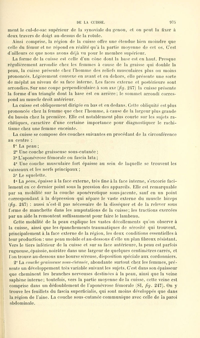 ment le cul-de-sac supérieur de la synoviale du genou, et on peut la fixer à deux travers de doigt au-dessus de la rotule. Ainsi comprise, la région de la cuisse offre une étendue bien moindre que celle du fémur et ne répond en réalité qu'à la partie moyenne de cet os. C'est d'ailleurs ce que nous avons déjà vu pour le membre supérieur. La forme de la cuisse est celle d'un cône dont la base est en haut. Presque régulièrement arrondie chez les femmes à cause de la graisse qui double la peau, la cuisse présente chez l'homme des reliefs musculaires plus ou moins prononcés. Légèrement convexe en avant et en dehors, elle présente une sorte de méplat au niveau de sa face interne. Les faces externe et postérieure sont arrondies. Sur une coupe perpendiculaire à son axe {fig. 247) la cuisse présente la forme d'un triangle dont la base est en arrière ; le sommet arrondi corres- pond au muscle droit antérieur. La cuisse est obliquement dirigée en bas et en dedans. Cette obliquité est plus prononcée chez la femme que chez l'homme, à cause de la largeur plus grande du bassin chez la première. Elle est notablement plus courte sur les sujets ra- chitiques, caractère d'une certaine importance pour diagnostiquer le rachi- tisme chez une femme enceinte. La cuisse se compose des couches suivantes en procédant de la circonférence au centre : 1 La peau ; 2° Une couche graisseuse sous-cutanée ; 3° L'aponévrose fémorale ou fascia lata ; 4° Une couche musculaire fort épaisse au sein de laquelle se trouvent les vaisseaux et les nerfs principaux ; S Le squelette. 1 La peau, épaisse à la face externe, très fine à la face interne, s'excorie faci- lement en ce dernier point sous la pression des appareils. Elle est remarquable par sa mobilité sur la couche aponévrotique sous-jacente, sauf en un point correspondant à la dépression qui sépare le vaste externe du muscle biceps [fig. 247) : aussi n'est-il pas nécessaire de la disséquer et de la relever sous A fjrme de manchette daris les amputations de la cuisse; les tractions exercées par un aide la remontent suffisamment pour faire le lambeau. Cette mobilité de la peau explique les vastes décollements qu'on observe à la cuisse, ainsi que les épanchements traumatiques de sérosité qui trouvent, principalement à la face externe de la région, les deux conditions essentielles à leur production : une peau mobile et au-dessous d'elle un plan fibreux résistant. Vers le tiers inférieur de la cuisse et sur sa face antérieure, la peau est parfois rugueuse, épaissie, noirâtre dans une largeur de quelques centimètres carrés, et l'on trouve au-dessous une bourse séreuse, disposition spéciale aux cordonniers. 2° La couche graisseuse sous-clitanée, abondante surtout chez les femmes, pré- sente un développement très variable suivant les sujets. C'est dans son épaisseur que cheminent les branches nerveuses destinées à la peau, ainsi que la veine saphène interne; toutefois, vers la partie moyenne de la cuisse, cette veine est comprise dans un dédoublement de l'aponévrose fémorale (SI, fig. 247). On y trouve les feuillets du fascia superficialis, qui sont moins développés que dans la région de l'aine. La couche sous-cutanée communique avec celle de la paroi abdominale.