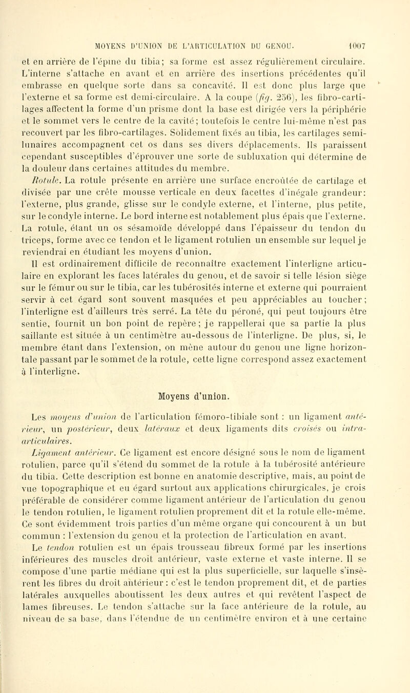 et en arrière de l'épine du tibia; sa l'orme est assez régulièrement circulaire. L'interne s'attache en avant et en arrière des insertions précédentes qu'il embrasse en quelque sorte dans sa concavité. Il est donc plus large que l'externe et sa forme est demi-circulaire. A la coupe {fig. 256), les fibro-carti- lages affectent la forme d'un prisme dont la base est dirigée vers la périphérie et le sommet vers le centre de la cavité; toutefois le centre lui-même n'est pas recouvert par les fibro-cartilages. Solidement fixés au tibia, les cartilages semi- lunaires accompagnent cet os dans ses divers déplacements. Ils paraissent cependant susceptibles d'éprouver une sorte de subluxation qui détermine de la douleur dans certaines attitudes du membre. Rotule. La rotule présente en arrière une surface encroûtée de cartilage et divisée par une créle mousse verticale en deux facettes d'inégale grandeur: l'externe, plus grande, glisse sur le condyle externe, et l'interne, plus petite, sur le condyle interne. Le bord interne est notablement plus épais que l'externe. La rotule, étant un os sésamoïde développé dans l'épaisseur du tendon du triceps, forme avec ce tendon et le ligament rotulien un ensemble sur lequel je reviendrai en étudiant les moyens d'union. Il est ordinairement diflicile de reconnaître exactement l'interligne articu- laire en explorant les faces latérales du genou, et de savoir si telle lésion siège sur le fémur ou sur le tibia, car les tubérosités interne et externe qui pourraient servir à cet égard sont souvent masquées et peu appréciables au toucher ; l'interligne est d'ailleurs très serré. La tête du péroné, qui peut toujours être sentie, fournit un bon point de repère; je rappellerai que sa partie la plus saillante est située à un centimètre au-dessous de l'interligne. De plus, si, le membre étant dans l'extension, on mène autour du genou une ligne horizon- tale passant par le sommet de la rotule, cette ligne correspond assez exactement g. l'interligne. Moyens d'union. Les moyens cVunion de l'articulation fémoro-tibiale sont : un ligament anté- rieur, un postérieur, deux latéraux et deux ligaments dits croisés ou intra- artieulaires. Li-gament antérieur. Ce ligament est encore désigné sous le nom de ligament rotulien, parce qu'il s'étend du sommet de la rotule à la tubérosité antérieure du tibia. Cette description est bonne en anatomie descriptive, mais, au point de vue topographique et eu égard surtout aux applications chirurgicales, je crois préférable de considérer comme ligament antérieur de l'articulation du genou le tendon rotulien, le ligament rotulien proprement dit et la rotule elle-même. Ce sont évidemment trois parties d'un même organe qui concourent à un but commun : l'extension du genou et la protection de l'articulation en avant. Le tendon rotulien est un épais trousseau fibreux formé par les insertions inférieures des muscles droit antérieur, vaste externe et vaste interne. Il se compose d'une partie médiane qui est la plus superficielle, sur laquelle s'insè- rent les fibres du droit antérieur : c'est le tendon proprement dit, et de parties latérales auxquelles aboutissent les deux autres et qui revêtent l'aspect de lames fibreuses. Le tendon s'attache sur la face antérieure de la rotule, au niveau de sa base, dans l'étendue de un centimètre environ et à une certaine