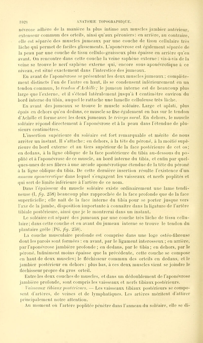 névrose adhère de la manière la plus intime aux muscles jambier antérieur, extenseur commun des orteils, ainsi qu'aux péroniers: en arrière, au contraire, elle est séparée des muscles jumeaux par une couche de tissu cellulaire très lâche qui permet de faciles glissements. L'aponévrose est également séparée de la peau par une couche de tissu cellulo-graisseux plus épaisse en arrière qu'en avant. On rencontre dans cette couche la veine saphène externe : vis-à-vis de la veine se trouve le nerf saphène externe qui, encore sous-aponévrotique à ce niveau, est situé exactement dans l'interstice des jumeaux. En avant de l'aponévrose se présentent les deux muscles jumeaux; complète- ment distincts l'un de l'autre en haut, ils se condensent inférieurement en un tendon commuu, le tendon cVAchille; le jumeau interne est de beaucoup plus large que l'externe, et il s'étend latéralement jusqu'à 1 centimètre environ du bord interne du tibia, auquel le rattache une lamelle celluleuse très lâche. En avant des jumeaux se trouve le muscle soléaire. Large et aplati, plus épais en dehors qu'en dedans, ce muscle se fixe également en bas sur le tendon d'Achille et forme avec les deux jumeaux le triceps sural. En dehors, le muscle soléaire répond directement à l'aponévrose et à la peau dans l'étendue de plu- sieurs centimètres. L'insertion supérieure du soléaire est fort remarquable et mérite de nous arrêter un instant. Il s'attache: en dehors, à la tète du péroné, à la moitié supé- rieure du bord externe et au tiers supérieur de la face postérieure de cet os; en dedans, à la ligne Oblique de la face postérieure du tibia au-dessous du po- plité et à l'aponévrose de ce muscle, au bord interne du tibia, et enfin par quel- ques-unes de ses fibres à une arcade aponévrotique étendue de la tête du péroné à la ligne oblique du tibia. De cette dernière insertion résulte l'existence d'un- anneau aponévrotique dans lequel s'engagent les vaisseaux et nerfs poplités et qui sert de limite inférieure à l'artère de ce nom. Dans l'épaisseur du muscle soléaire existe ordinairement une lame tendi- neuse (I, fifj. 258) beaucoup plus rapprochée de la face profonde que de la face superficielle; elle naît de la face interne du tibia pour se porter jusque vers l'axe de la jambe, disposition importante à connaître dans la ligature de l'artère tibiale postérieure, ainsi que je le montrerai dans un instant. Le soléaire est.séparé des jumeaux par une couche très lâche de tissu cellu- laire; dans cette couche et en avant du jumeau interne se trouve le tendon du plantaire grêle (PG, fig. 2o8). La couche musculaire profonde est comprise dans une loge ostéo-fibreuse dont les parois sont formées : en avant, par le ligament interosseux ; en arrière, par l'aponévrose jambière profonde ; en dedans, par le tibia; en dehors, par le péroné. Infiniment moins épaisse que la précédente, cette couche se compose en haut de deux muscles; le fléchisseur commun des orteils en dedans, et le jambier postérieur en dehors: plus bas, à ces deux muscles vient se joindre le lléchisseur propre du gros orteil. Entre les deux couches de muscles, et dans un dédoublement de l'aponévrose jambière profonde, sont compris les vaisseaux et nerfs tibiaux postérieurs. Vaisseaux tibiaux postérieurs. — Les vaisseaux tibiaux postérieurs se compo- sent d'artères, de veines et de lymphatiques. Les artères méritent d'attirer principalement notre attention. Au moment où l'artère poplitée pénètre dans l'anneau du soléaire, elle se di-