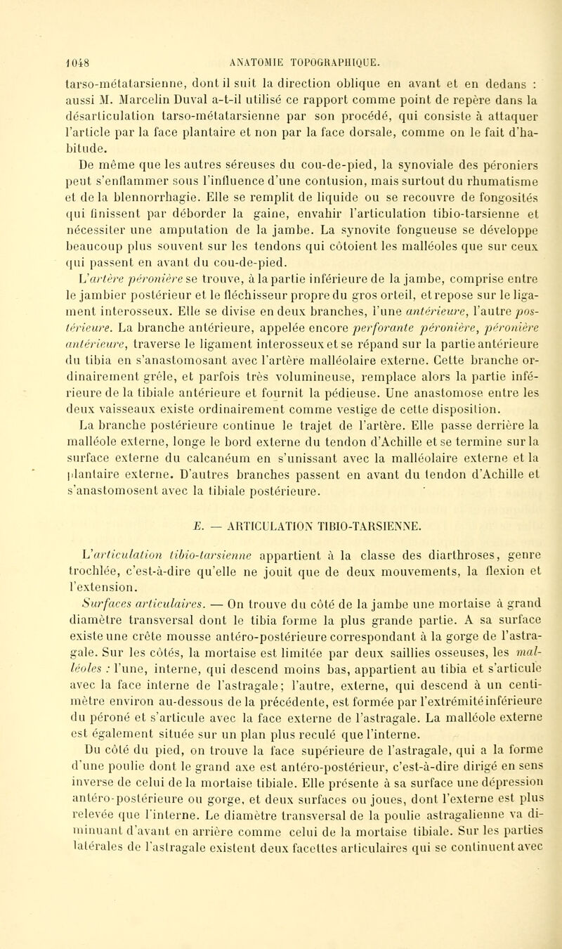 tarso-métatarsienne, dont il suit la direction oblique en avant et en dedans : aussi M. Marcelin Duval a-t-il utilisé ce rapport comme point de repère dans la désarticulation tarso-métatarsienne par son procédé, qui consiste à attaquer l'article par la face plantaire et non par la face dorsale, comme on le fait d'ha- bitude. De même que les autres séreuses du cou-de-pied, la synoviale des péroniers peut s'entlammer sous l'influence d'une contusion, mais surtout du rhumatisme et delà blennorrhagie. Elle se remplit de liquide ou se recouvre de fongosités qui finissent par déborder la gaine, envahir l'articulation tibio-tarsienne et nécessiter une amputation de la jambe. La synovite fongueuse se développe beaucoup plus souvent sur les tendons qui côtoient les malléoles que sur ceux qui passent en avant du cou-de-pied. L'artère péronière se trouve, àlapartie inférieure de la jambe, comprise entre le jambier postérieur et le iléchisseur propre du gros orteil, et repose sur le liga- ment interosseux. Elle se divise en deux branches, l'une antérieure, l'autre j^os- térieure. La branche antérieure, appelée encore perforante péronière, péronière antérieure, traverse le ligament interosseux et se répand sur la partie antérieure du tibia en s'anastomosant avec l'artère malléolaire externe. Cette branche or- dinairement grêle, et parfois très volumineuse, remplace alors la partie infé- rieure de la tibiale antérieure et fournit la pédieuse. Une anastomose entre les deux vaisseaux existe ordinairement comme vestige de cette disposition, La branche postérieure continue le trajet de l'artère. Elle passe derrière la malléole externe, longe le bord externe du tendon d'Achille et se termine sur la surface externe du calcanéum en s'unissant avec la malléolaire externe et la plantaire externe. D'autres branches passent en avant du tendon d'Achille et s'anastomosent avec la tibiale postérieure. E. — ARTICULATION TIBIO-TARSIENNE. \Jarticulation tibio-tarsienne appartient à la classe des diarthroses, genre trochlée, c'est-à-dire qu'elle ne jouit que de deux mouvements, la flexion et l'extension. Surfaces articulaires. — On trouve du côté de la jambe une mortaise à grand diamètre transversal dont le tibia forme la plus grande partie. A sa surface existe une crête mousse antéro-postérieure correspondant à la gorge de l'astra- gale. Sur les côtés, la mortaise est limitée par deux saillies osseuses, les mal- léoles : l'une, interne, qui descend moins bas, appartient au tibia et s'articule avec la face interne de l'astragale; l'autre, externe, qui descend à un centi- mètre environ au-dessous de la précédente, est formée par l'extrémité inférieure du péroné et s'articule avec la face externe de l'astragale. La malléole externe est également située sur un plan plus reculé que l'interne. Du côté du pied, on trouve la face supérieure de l'astragale, qui a la forme d'une poulie dont le grand axe est antéro-postérieur, c'est-à-dire dirigé en sens inverse de celui de la mortaise tibiale. Elle présente à sa surface une dépression antéro-postérieure ou gorge, et deux surfaces ou joues, dont l'externe est plus relevée que l'interne. Le diamètre transversal de la poulie astragalienne va di- minuant d'avant en arrière comme celui de la mortaise tibiale. Sur les parties latérales de l'astragale existent deux facettes articulaires qui se continuent avec