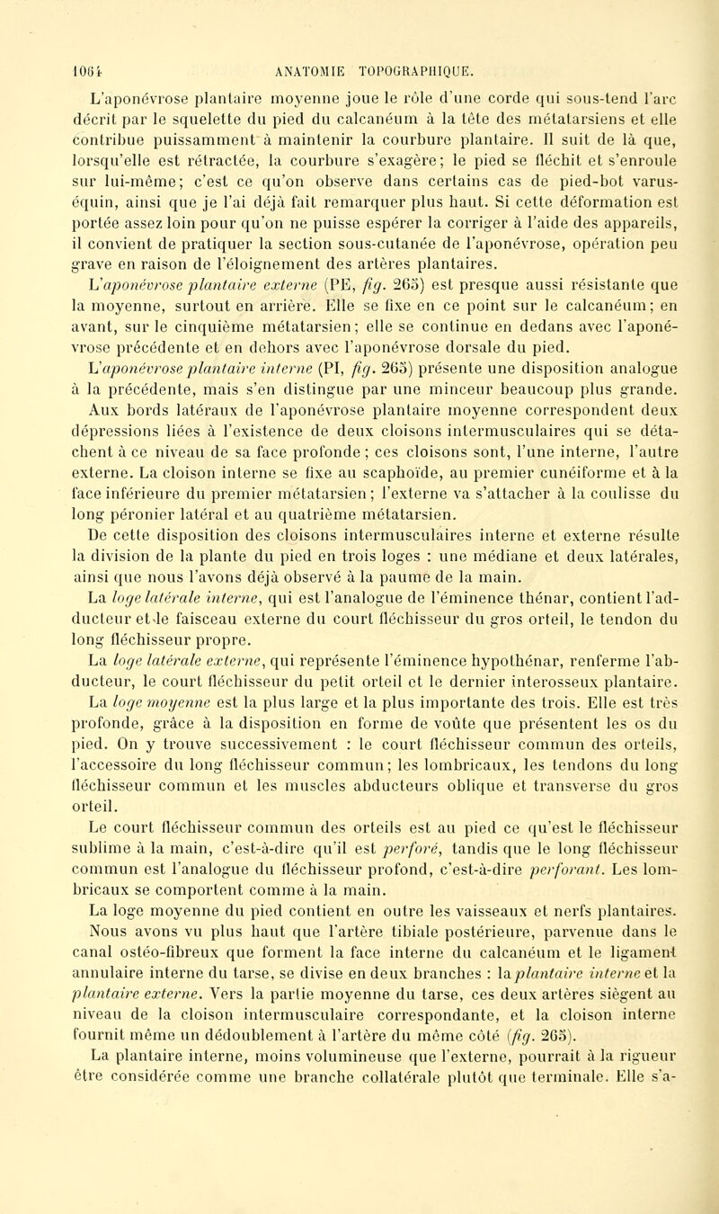 L'aponévrose plantaire moyenne joue le rôle d'une corde qui sous-lend l'arc décrit par le squelette du pied du calcanéum à la tête des métatarsiens et elle Contribue puissamment à maintenir la courbure plantaire. Il suit de là que, lorsqu'elle est rétractée, la courbure s'exagère; le pied se fléchit et s'enroule sur lui-même; c'est ce qu'on observe dans certains cas de pied-bot varus- équin, ainsi que je l'ai déjà fait remarquer plus haut. Si cette déformation est portée assez loin pour qu'on ne puisse espérer la corriger à l'aide des appareils, il convient de pratiquer la section sous-cutanée de l'aponévrose, opération peu grave en raison de l'éloignement des artères plantaires. Vaponévrose plantaire externe (PE, fig. 265) est presque aussi résistante que la moyenne, surtout en arrière. Elle se fixe en ce point sur le calcanéum; en avant, sur le cinquième métatarsien ; elle se continue en dedans avec l'aponé- vrose précédente et en dehors avec l'aponévrose dorsale du pied, \Japonévrose plantaire interne (PI, fig. 26o) présente une disposition analogue à la précédente, mais s'en distingue par une minceur beaucoup plus grande. Aux bords latéraux de l'aponévrose plantaire moyenne correspondent deux dépressions liées à l'existence de deux cloisons intermusculaires qui se déta- chent à ce niveau de sa face profonde ; ces cloisons sont, l'une interne, l'autre externe. La cloison interne se fixe au scaphoïde, au premier cunéiforme et à la face inférieure du premier métatarsien; l'externe va s'attacher à la coulisse du long péronier latéral et au quatrième métatarsien. De cette disposition des cloisons intermusculaires interne et externe résulte la division de la plante du pied en trois loges : une médiane et deux latérales, ainsi que nous l'avons déjà observé à la paume de la main. La loge latérale interne, qui est l'analogue de l'éminence thénar, contient l'ad- ducteur et^e faisceau externe du court fléchisseur du gros orteil, le tendon du long fléchisseur propre. La loge latérale externe, qui représente l'éminence hypothénar, renferme l'ab- ducteur, le court fléchisseur du petit orteil et le dernier interosseux plantaire. La loge moyenne est la plus large et la plus importante des trois. Elle est très profonde, grâce à la disposition en forme de voûte que présentent les os du pied. On y trouve successivement : le court fléchisseur commun des orteils, l'accessoire du long fléchisseur commun; les lombricaux, les tendons du long fléchisseur commun et les muscles abducteurs oblique et transverse du gros orteil. Le court fléchisseur commun des orteils est au pied ce qu'est le fléchisseur sublime à la main, c'est-à-dire qu'il est perforé, tandis que le long fléchisseur commun est l'analogue du fléchisseur profond, c'est-à-dire perforant. Les lom- bricaux se comportent comme à la main, La loge moyenne du pied contient en outre les vaisseaux et nerfs plantaires. Nous avons vu plus haut que l'artère tibiale postérieure, parvenue dans le canal ostéo-fîbreux que forment la face interne du calcanéum et le ligament annulaire interne du tarse, se divise en deux branches : la.plantaire interne et la plantaire externe. Vers la partie moyenne du tarse, ces deux artères siègent au niveau de la cloison intermusculaire correspondante, et la cloison interne fournit même un dédoublement à l'artère du même côté {fig. 265). La plantaire interne, moins volumineuse que l'externe, pourrait à la rigueur être considérée comme une branche collatérale plutôt que terminale. Elle s'a-