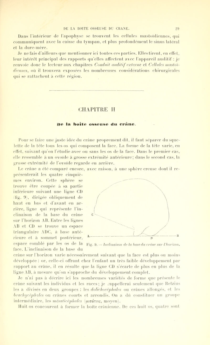 Dans riiitérieur de l'apophyse se trouvent les cellnles mastoïdiennes, qui communiquent avec la caisse du tympan, et plus profondément le sinus latéral et la dure-mère. Je ne fais d'ailleurs que mentionner ici tontes ces parties. Elles tirent, en effet, leur intérêt principal des i-apports ((u'elles alTectent avec l'appareil auditif : je renvoie donc le lecteur aux cliapiti'es Condiii/ (ludi/if externe et Cellules mmloi- dieunes, où il trouvera exposées les nombreuses cousidérations chii'u)'p,icales qui se rattachent à cette région. CHAPITRE II De la l)oîtc osseuse <lii eràiae. Pour se faire une juste idée du crâne proprement dit, il faut séparer du sque- lette de la tète tous les os qui composent la face. La forme de la tête varie, en etTet. suivant qu'on Fétudie avec ou sans les os de la face. Dans le premier cas, elle ressemble à un ovoïde à grosse extrémité antérieure ; dans le second cas, la grosse extrémité de l'ovoïde regarde en arrière. Le crâne a été comparé encore, avec raison, à une sphère creuse dont il re- présenterait les quatre cinquiè- mes environ. Cette sphère se trouve être coupée à sa partie inférieure suivant une ligne CD ifîg. 9), dirigée obliquement de haut en bas et d'avant en ar- rière, ligne qui représente l'in- clinaison de la base du crâne sur l'horizon AB. Entre les lignes AB et CD se trouve un espace triangulaire ADC, à base anté- rieure et à sommet postérieur, espace comblé par les os de la face. L'inclinaison de la base du crâne sur l'horizon varie nécessairement suivant que la face est plus ou moins développée : or, celle-ci otfrant chez l'enfant un très faible développement par rapport au crâne, il en résulte que la ligne CD s'écarte de plus en plus de la ligne AB, à mesure qu'on s'approche du développement complet. Je n'ai pas à décrire ici les nombreuses variétés de forme que présente le crâne suivant les individus et les races; je /appellerai seulement que Hetziiis les a divisés en deux groupes : les dolichocéphales ou crânes allongés, et les brachycéphales ou crânes courts et arrondis. On a dû constituer un groupe intermédiaire, les mésaficéphriles ''ij-zdâ-îioç, moyen). Huit os concourent à former la boite crânienne. De ces huit os, quatre sont Fis. 9. — hicUnaison de la baseducvdne sur l'horizon.