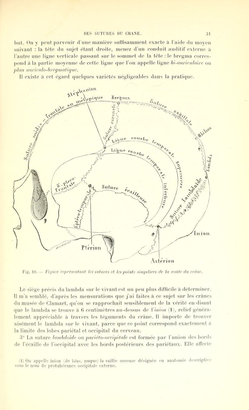 but. On y peut parvenir d'une manière suffisamment exacte à l'aide du moyen suivant : la tête du sujet étant droite, menez d'un conduit auditif externe à l'autre une ligne verticale passant sur le sommet de la tète : le bregma corres- pond à la partie moyenne de cette ligne que l'on appelle ligne bi-auriculairc ou plan auriculo-bregmatique. Il existe à cet égard quelques variétés négligeables dans la pratique. Axal^^OlT- enon Fig. 10. — Figure représentant les sutures et les points singuliers de la voûte du crâne. Le siège précis du lambda sur le vivant est un peu plus difficile à déterminer. Il m'a semblé, d'après les mensurations que j'ai faites à ce sujet sur les crânes du musée de Clamart, qu'on se rapprochait sensiblement de la vérité en disant que le lambda se trouve à 6 centimètres au-dessus de ïinion (1), relief généra- lement appréciable à travers les téguments du crâne. Il importe de trouver aisément le lambda sur le vivant, parce que ce point correspond exactement à la limite des lobes pariétal et occipital du cerveau. 3° La suture lambdoïde ou 'pariéto-occipitale est formée par l'union des bords de l'écaillé de l'occipital avec les bords postérieurs des pariétaux. Elle affecte (1) On appelle inion (de Ivlov, uuque) la saillie osseuse désignée en anatoiuie descriptive sons le nom de protubérance occipitale externe.