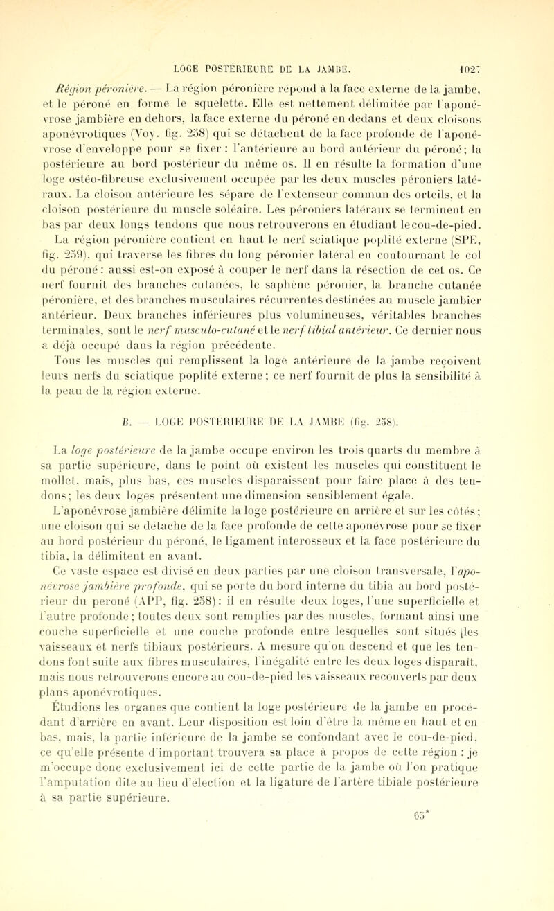 Région pé?'onière. — La région péronière répond à la face oxlernc de la jambe, et le péroné en forme le squelette. Elle est nettement délimitée par l'aponé- vrose jambière en dehors, la face externe du péroné en dedans et deux cloisons aponévrotiques (Voy. lig. 258) qui se détachent de la face profonde de l'aponé- vrose d'enveloppe pour se lixor : l'antérieure au bord antérieur du péroné; la postérieure au bord postérieur du même os. 11 en résulte la formation d'une loge ostéo-tibreuse exclusivement occupée parles deux muscles péroniers laté- raux. La cloison antérieure les sépare de l'extenseur commun des orteils, et la cloison postérieure du muscle soléaire. Les péroniers latéraux se terminent en bas par deux longs tendons que nous retrouverons en étudiant lecou-de-pied. La région péronière contient en haut le nerf sciatique poplité externe (SPE, fig. :2o9), qui traverse les fibres du long péronier latéral en contournant le col du péroné: aussi est-on exposé à couper le nerf dans la résection de cet os. Ce nerf fournit des branches cutanées, le saphène péronier, la branche cutanée péronière, et des branches musculaires récurrentes destinées au muscle jambier antérieur. Deux branches inférieures plus volumineuses, véritables branches terminales, sont le nerf musculo-culanéaiXe nerf tibialantéineur. Ce dernier nous a déjà occupé dans la région précédente. Tous les muscles qui remplissent la loge antérieure de la jambe reçoivent leurs nerfs du sciatique poplité externe ; ce nerf fournit de plus la sensibilité à la peau de la région externe. B. — L0(;E l^OSTÉRIEURE DE LA JAMBE (fig. 238). La loge postérieure de la jambe occupe environ les trois quarts du membre à sa partie supérieure, dans le point où existent les muscles qui constituent le mollet, mais, plus bas, ces muscles disparaissent pour faire place à des ten- dons; les deux loges présentent une dimension sensiblement égale. L'aponévrose jambière délimite la loge postérieure en arrière et sur les côtés; une cloison qui se détache de la face profonde de cette aponévrose pour se fixer au bord postérieur du péroné, le ligament interosseux et la face postérieure du tibia, la délimitent en avant. Ce vaste espace est divisé en deux parties par une cloison transversale, l'apo- névrose jambière profonde^ qui se porte du bord interne du tibia au bord posté- rieur du péroné (APP, fig. 258): il en résulte deux loges, l'une superficielle et l'autre profonde; toutes deux sont remplies par des muscles, formant ainsi une couche superficielle et une couche profonde entre lesquelles sont situés [les vaisseaux et nerfs tibiaux postérieurs. A mesure qu'on descend et que les ten- dons font suite aux fibres musculaires, l'inégalité entre les deux loges disparait, mais nous retrouverons encore au cou-de-pied les vaisseaux recouverts par deux plans aponévrotiques. Étudions les organes que contient la loge postérieure de la jambe en procé- dant d'arrière en avant. Leur disposition est loin d'être la même en haut et en bas, mais, la partie inférieure de la jambe se confondant avec le cou-de-pied, ce qu'elle présente d'important trouvera sa place à propos de cette région : je m'occupe donc exclusivement ici de cette partie de la jambe où l'on pratique l'amputation dite au lieu d'élection et la ligature de l'artère tibiale postérieure à sa partie supérieure. 65*