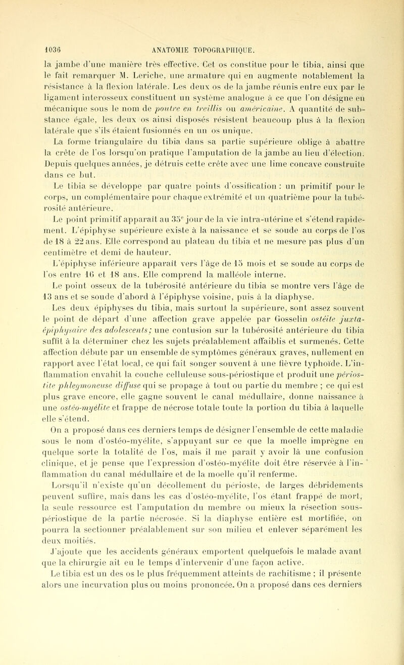 la jambe d'une manière très effective. Cet os constitue pour le tibia, ainsi que le fait remarquer M. Leriche, une armature qui en augmente notablement la résistance à la flexion latérale. Les deux os de la jambe réunis entre eux par le ligament interosseux constituent un système analogue à ce que l'on désigne en mécanique sous le nom de poutre en treillis ou américaine. A quantité de sub- stance égale, les deux os ainsi disposés résistent beaucoup plus à la flexion latérale que s'ils étaient fusionnés en un os unique. La forme triangulaire du tibia dans sa partie supérieure oblige à abattre la crête de l'os lorsqu'on pratique l'amputation de la jambe au lieu d'élection. Depuis quelques années, je détruis cette crête avec une lime concave construite dans ce but. Le tibia se développe par quatre points d'ossification : un primitif pour le corps, un complémentaire pour chaque extrémité et un quatrième pour la tubé- rosité antérieure. Le point primitif apparaît au 35^ jour de la vie intra-utérine et s'étend rapide- ment. L'épiphyse supérieure existe à la naissance et se soude au corps de l'os de 18 à 22 ans. Elle correspond au plateau du tibia et ne mesure pas plus d'un centimètre et demi de hauteur. L'épiphyse inférieure apparaît vers l'âge de 15 mois et se soude au corps de l'os entre 16 et 18 ans. Elle comprend la malléole interne. Le point osseux de la tubérosité antérieure du tibia se montre vers l'âge de 13 ans et se soude d'abord à l'épiphyse voisine, puis à la diaphyse. Les deux épiphyses du tibia, mais surtout la supérieure, sont assez souvent le point de départ d'une affection grave appelée par Gosselin ostéite juxta- épiphysaire des adolescents; une contusion sur la tubérosité antérieure du tibia suffit à la déterminer chez les sujets préalablement affaiblis et surmenés. Cette affection débute par un ensemble de symptômes généraux graves, nullement en rapport avec l'état local, ce qui fait songer souvent à une fièvre typhoïde. L'in- tlammation envahit la couche celluleuse sous-périostique et produit une périos- tite phlegmoneuse diffuse qui se propage à tout ou partie du membre ; ce qui est plus grave encore, elle gagne souvent le canal médullaire, donne naissance à une ostéo-myélite et frappe de nécrose totale toute la portion du tibia à laquelle elle s'étend. On a proposé dans ces derniers temps de désigner l'ensemble de cette maladie sous le nom d'ostéo-myélite, s'appuyant sur ce que la moelle imprègne en quelque sorte la totalité de l'os, mais il me paraît y avoir là une confusion clinique, et je pense que l'expression d'ostéo-myélite doit être réservée à l'in- flammation du canal médullaire et de la moelle qu'il renferme. Lorsqu'il n'existe qu'un décollement du périoste, de larges débridements l^euvent suffire, mais dans les cas d'ostéo-myélite, l'os étant frappé de mort, la seule ressource est l'amputation du membre ou mieux la résection sous- périostique de la partie nécrosée. Si la diaphyse entière est mortifiée, on pourra la sectionner préalablement sur son milieu et enlever séparément les deux moitiés. J'ajoute que les accidents généraux emportent quelquefois le malade avant que la chirurgie ait eu le temps d'intervenir d'une façon active. Le tibia est un des os le plus fréquemment atteints de rachitisme ; il présente alors une incurvation plus ou moins prononcée. On a proposé dans ces derniers